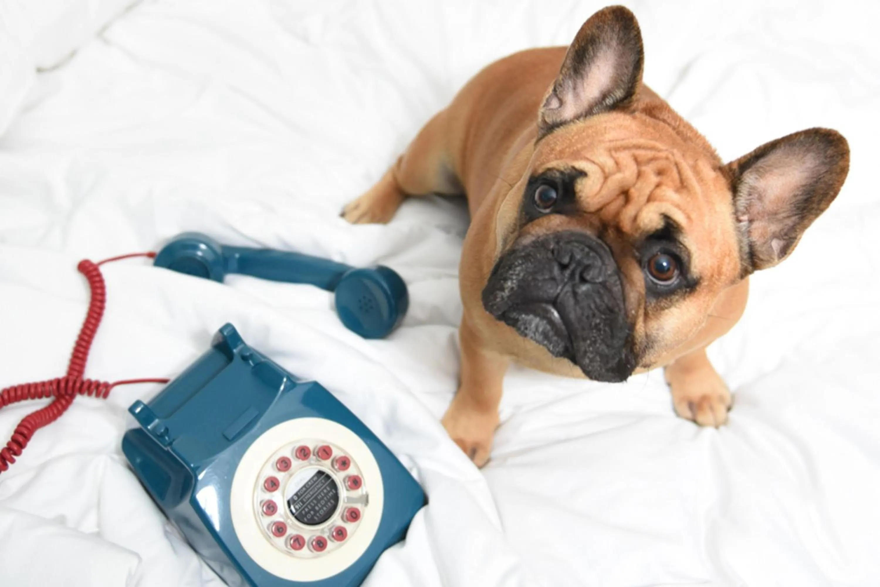 Photo of the whole room in MOXY NYC Times Square