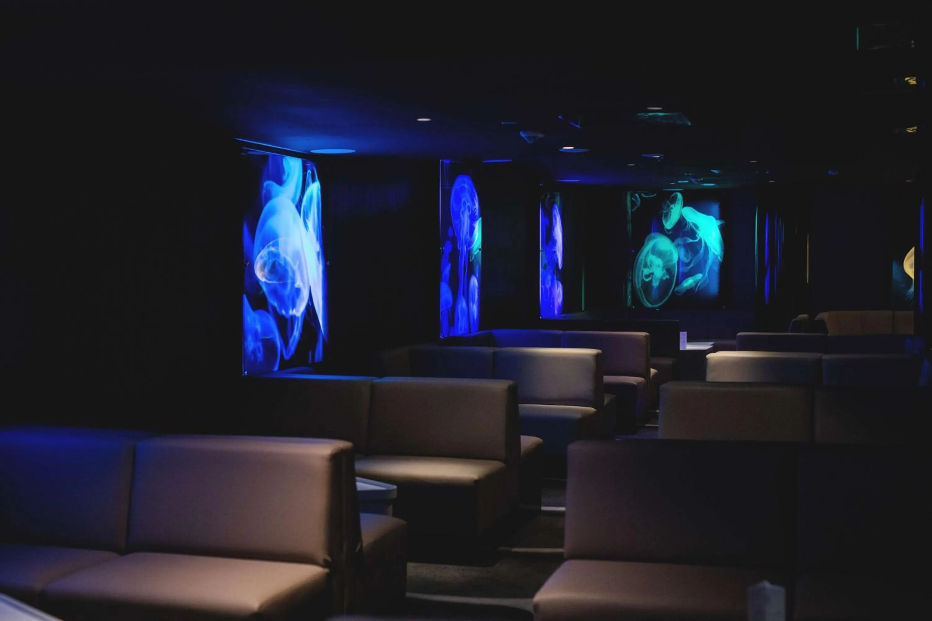 Lounge or bar in Radisson Blu Resort Swinoujscie