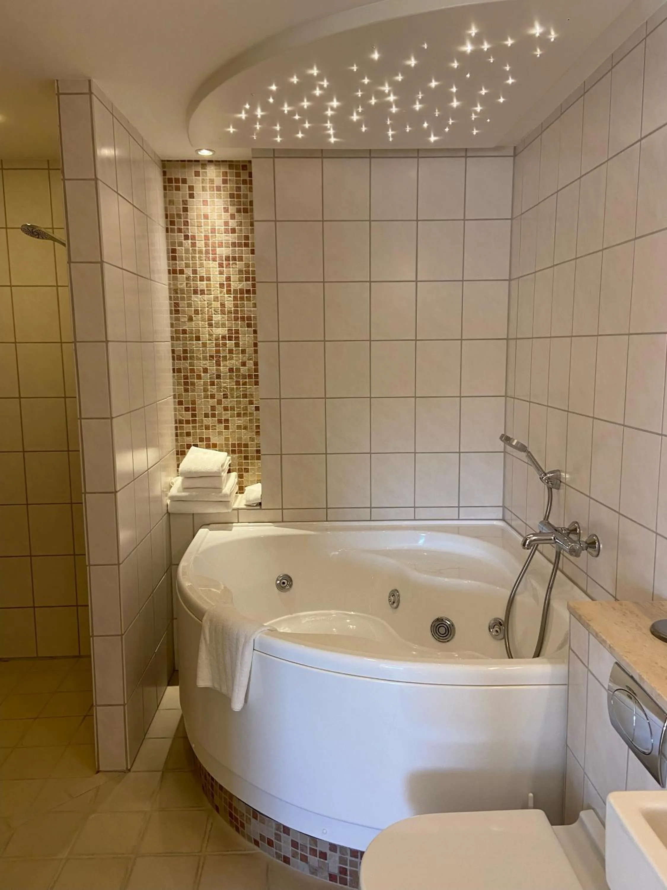 Toilet in Montra Odder Parkhotel