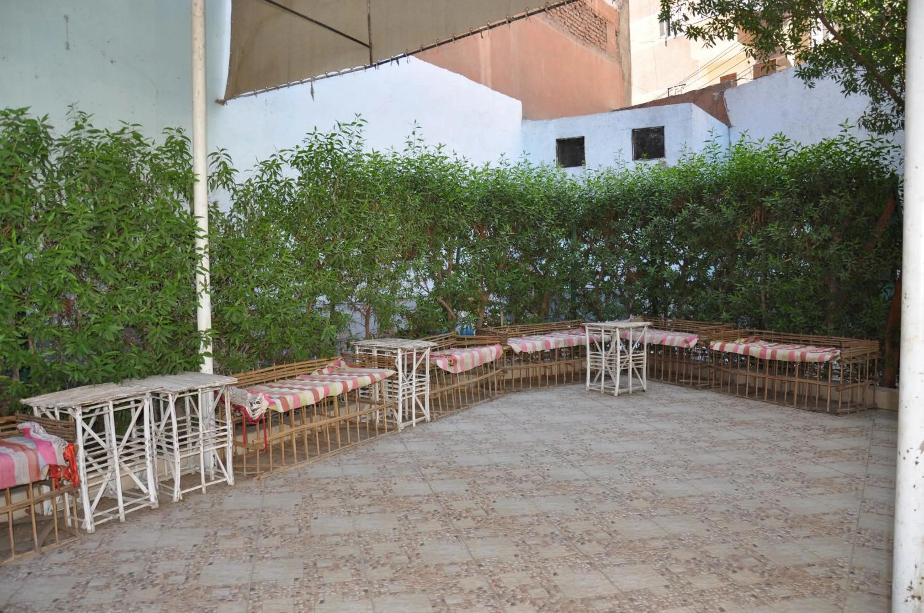 Garden view in Shady Hotel Luxor