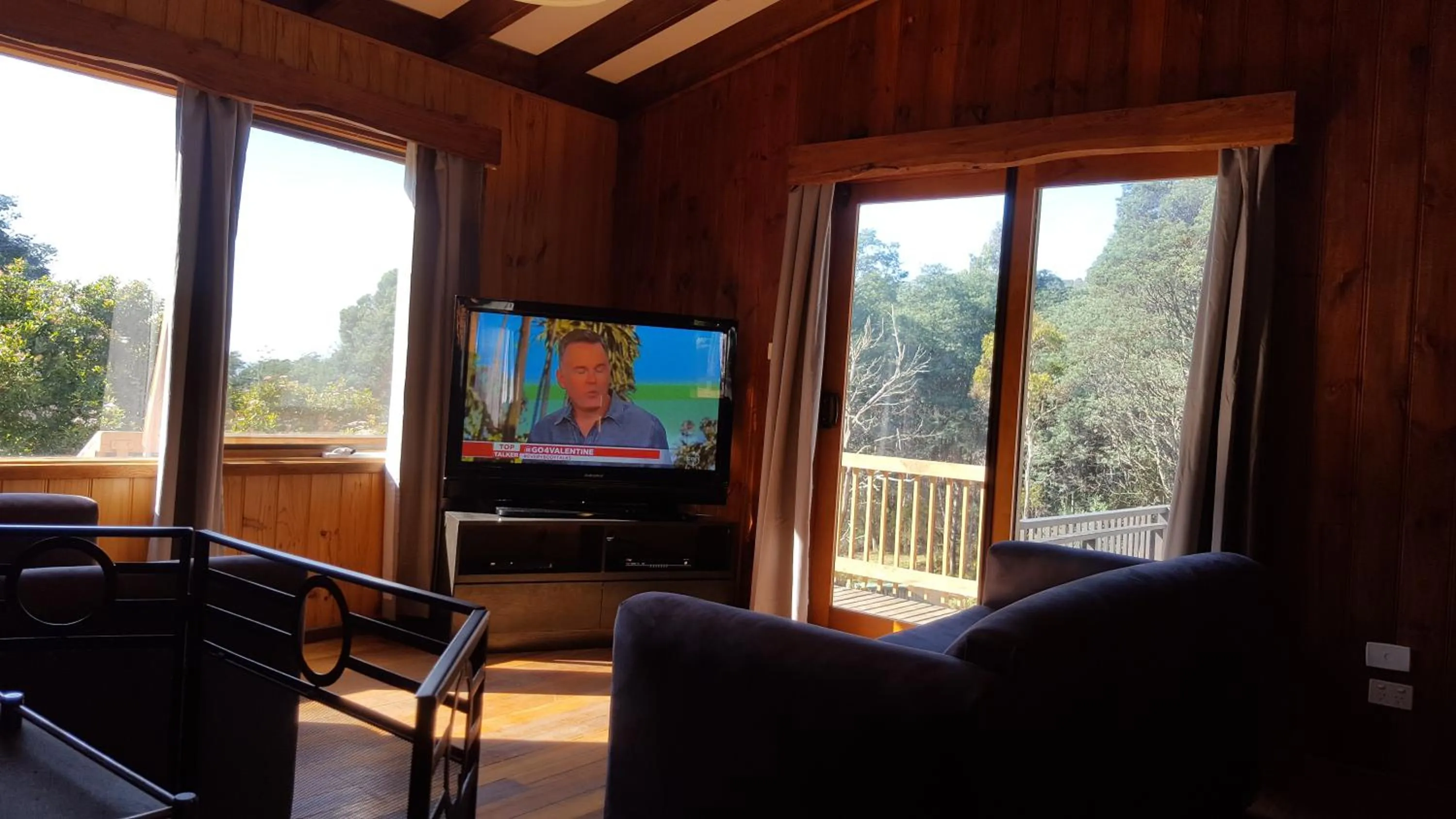 TV and multimedia in Cradle Alpine Retreat