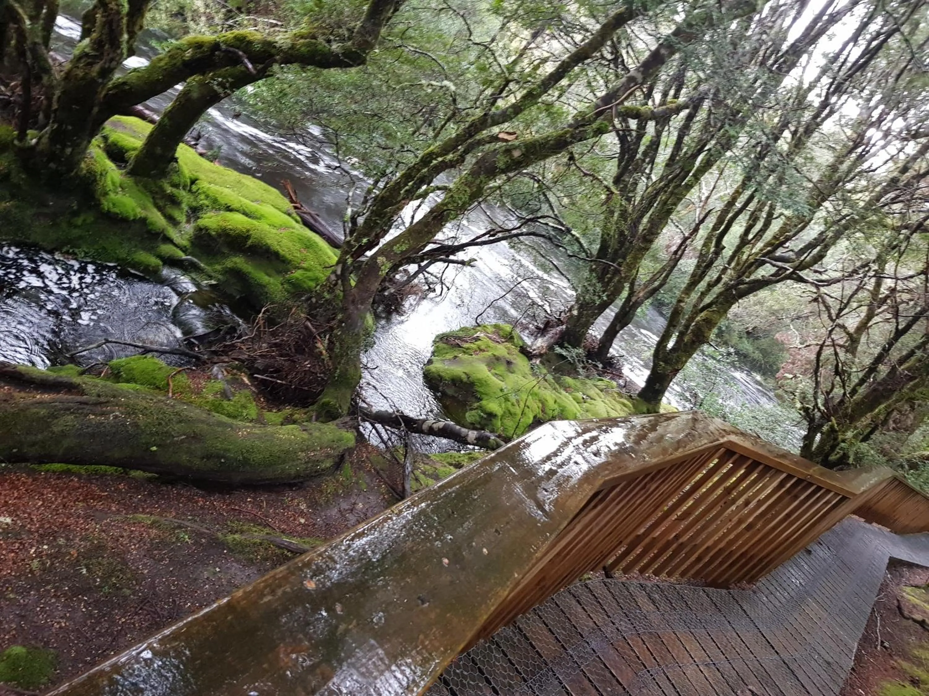 Nearby landmark in Cradle Alpine Retreat