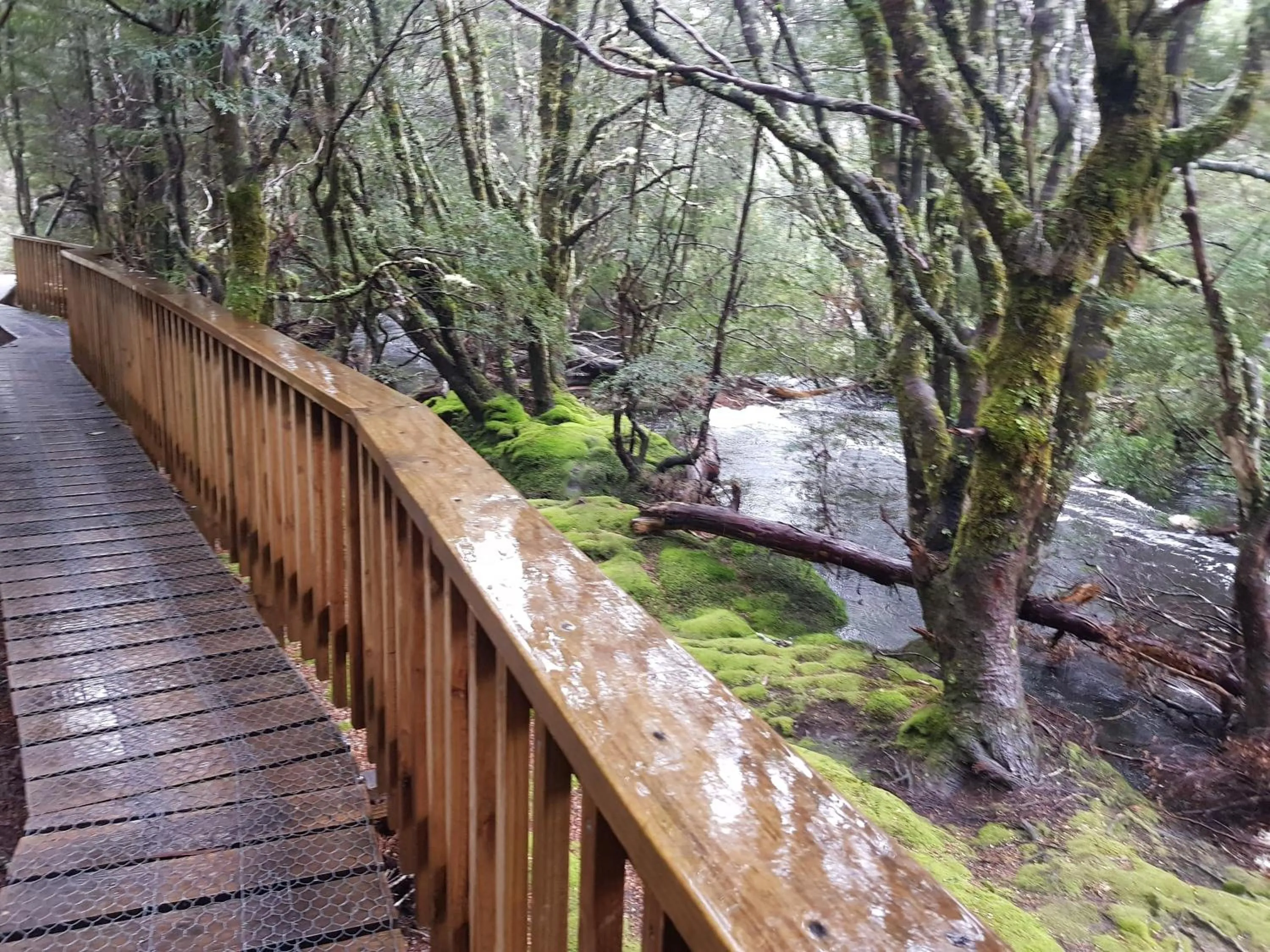 Nearby landmark in Cradle Alpine Retreat