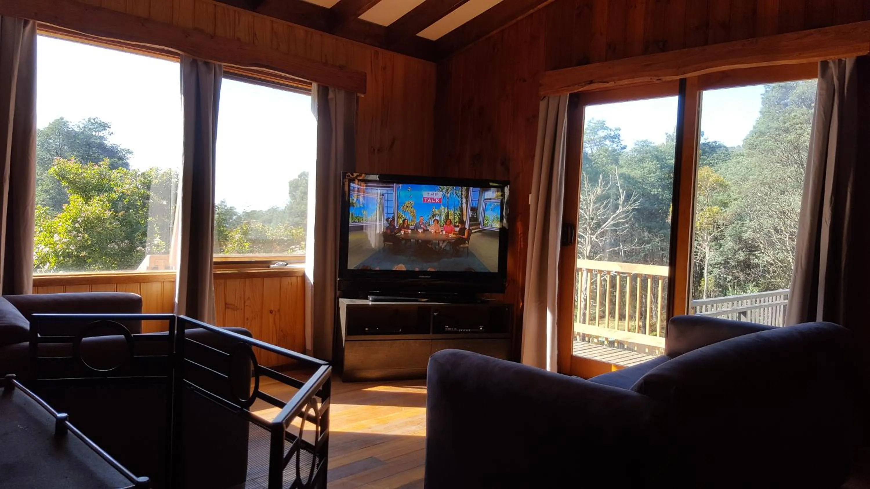 TV and multimedia in Cradle Alpine Retreat
