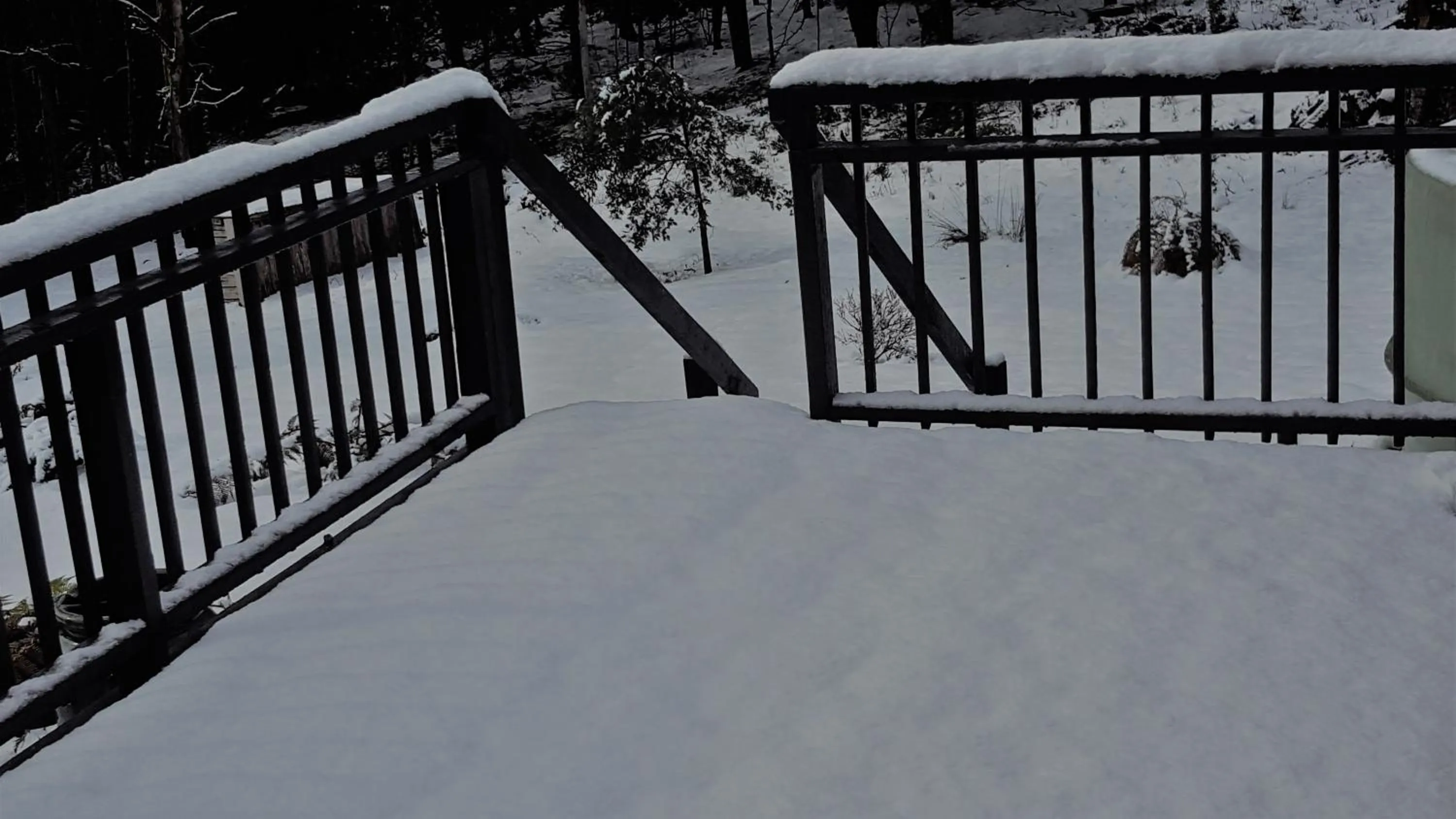 Spring in Cradle Alpine Retreat