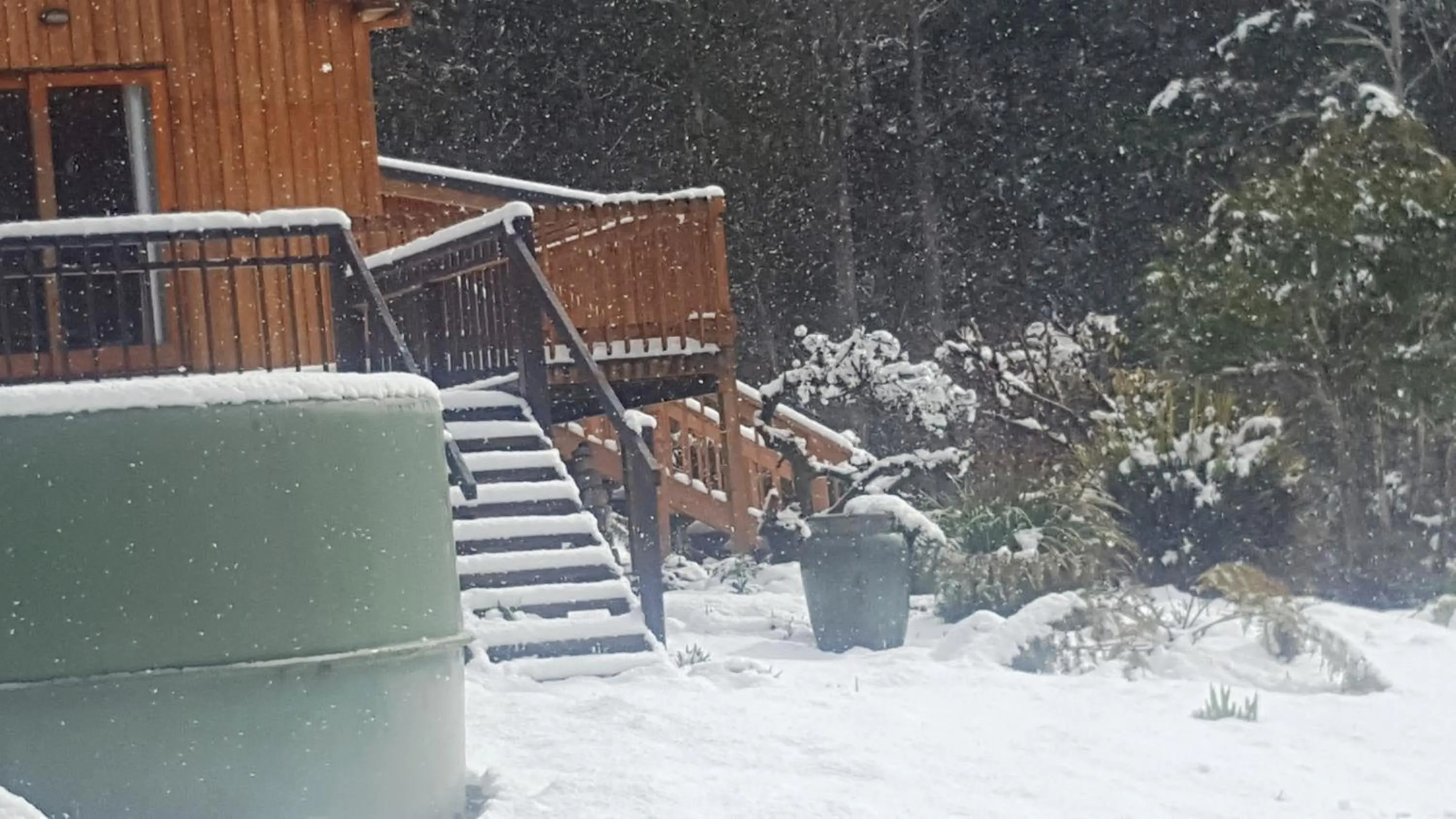 Bird's eye view in Cradle Alpine Retreat