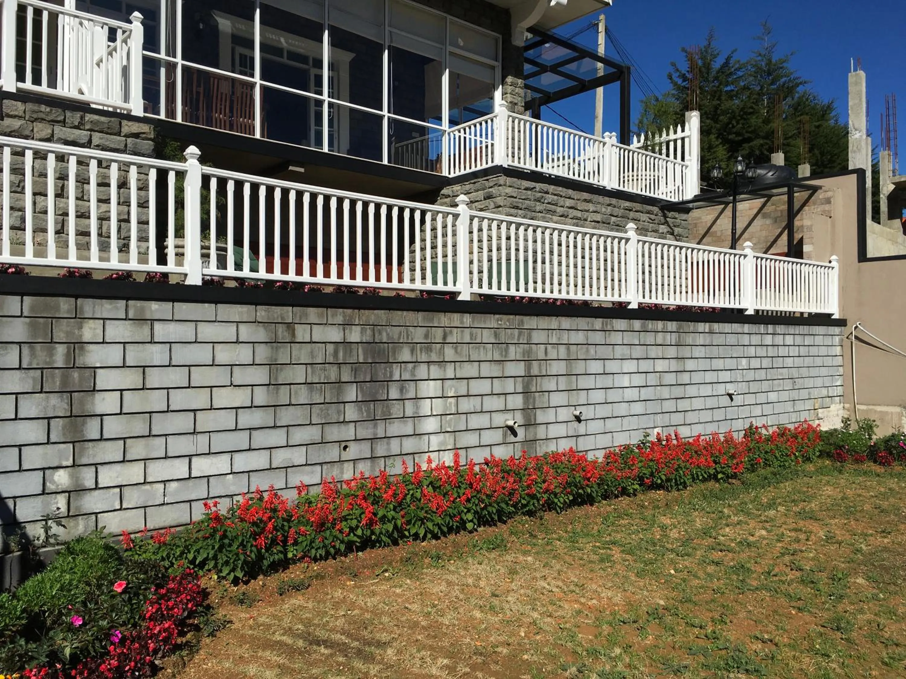 Garden in Dorchester