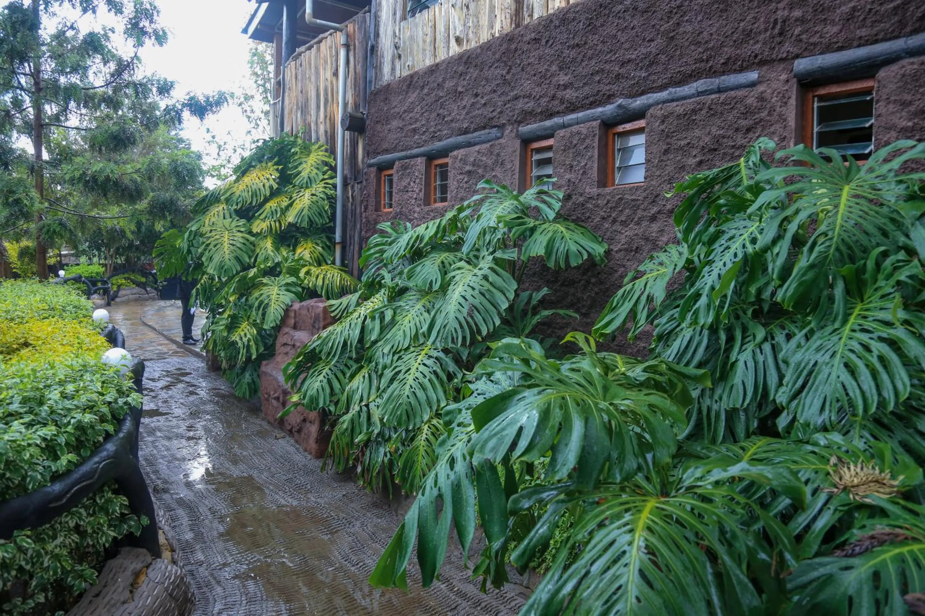 Garden in Dovenest Lodge