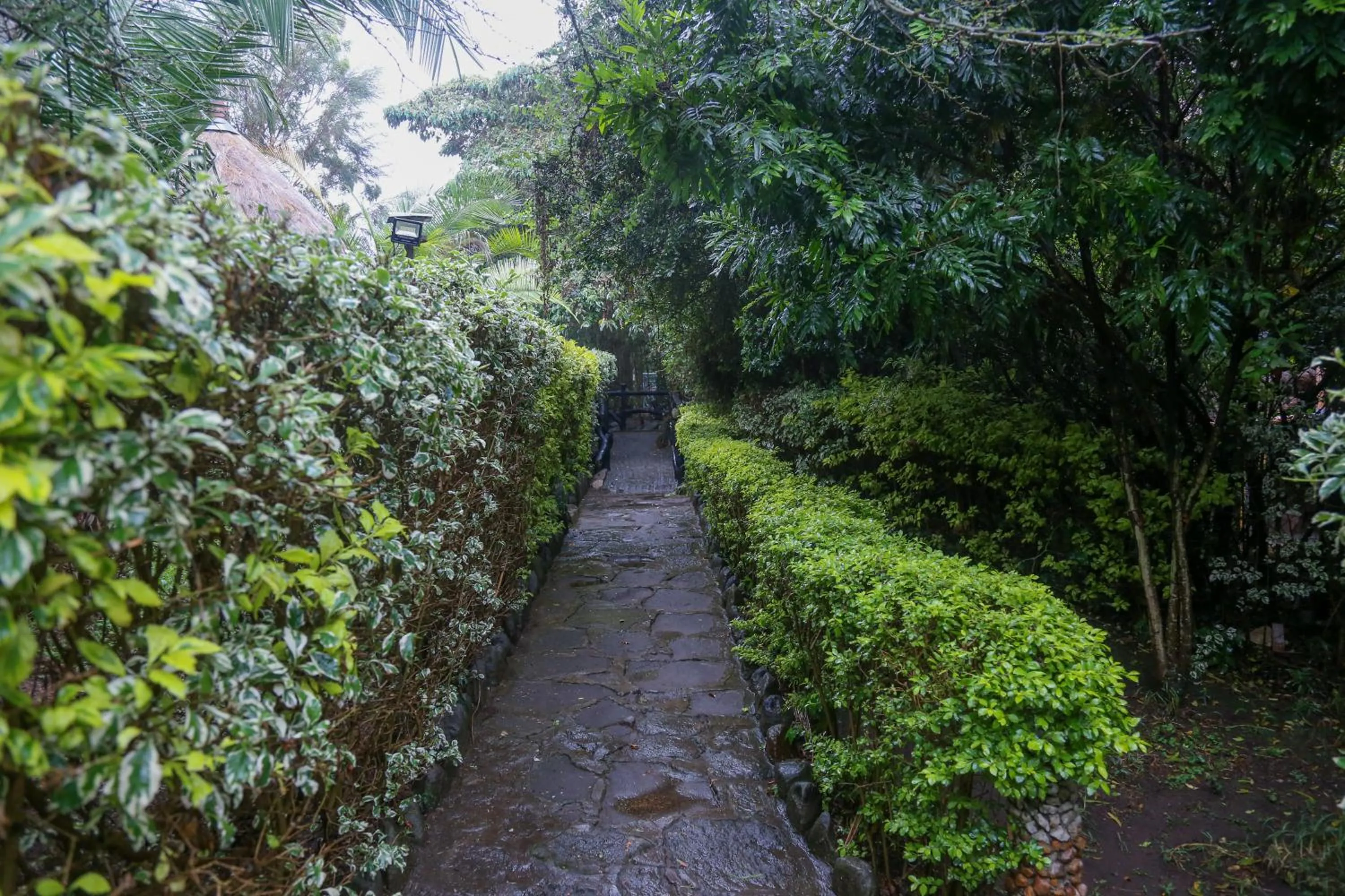 Garden view in Dovenest Lodge