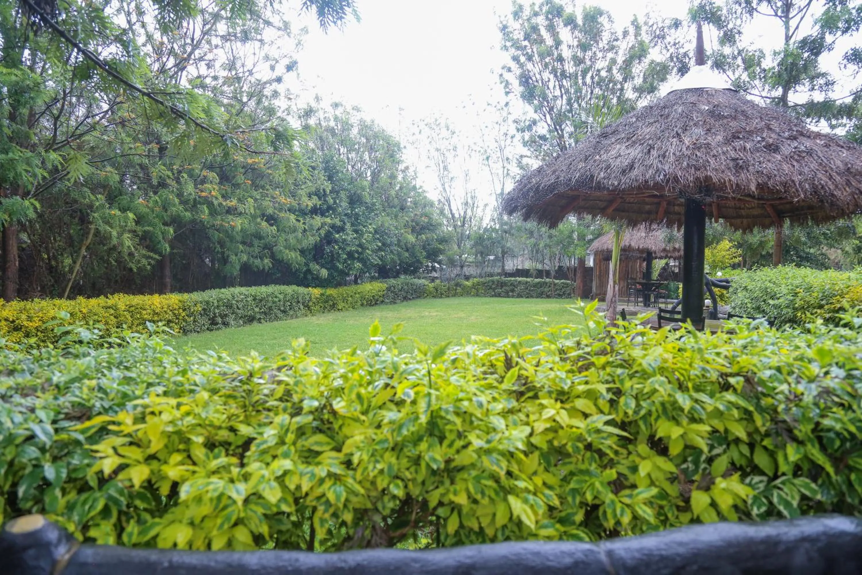 Natural landscape in Dovenest Lodge