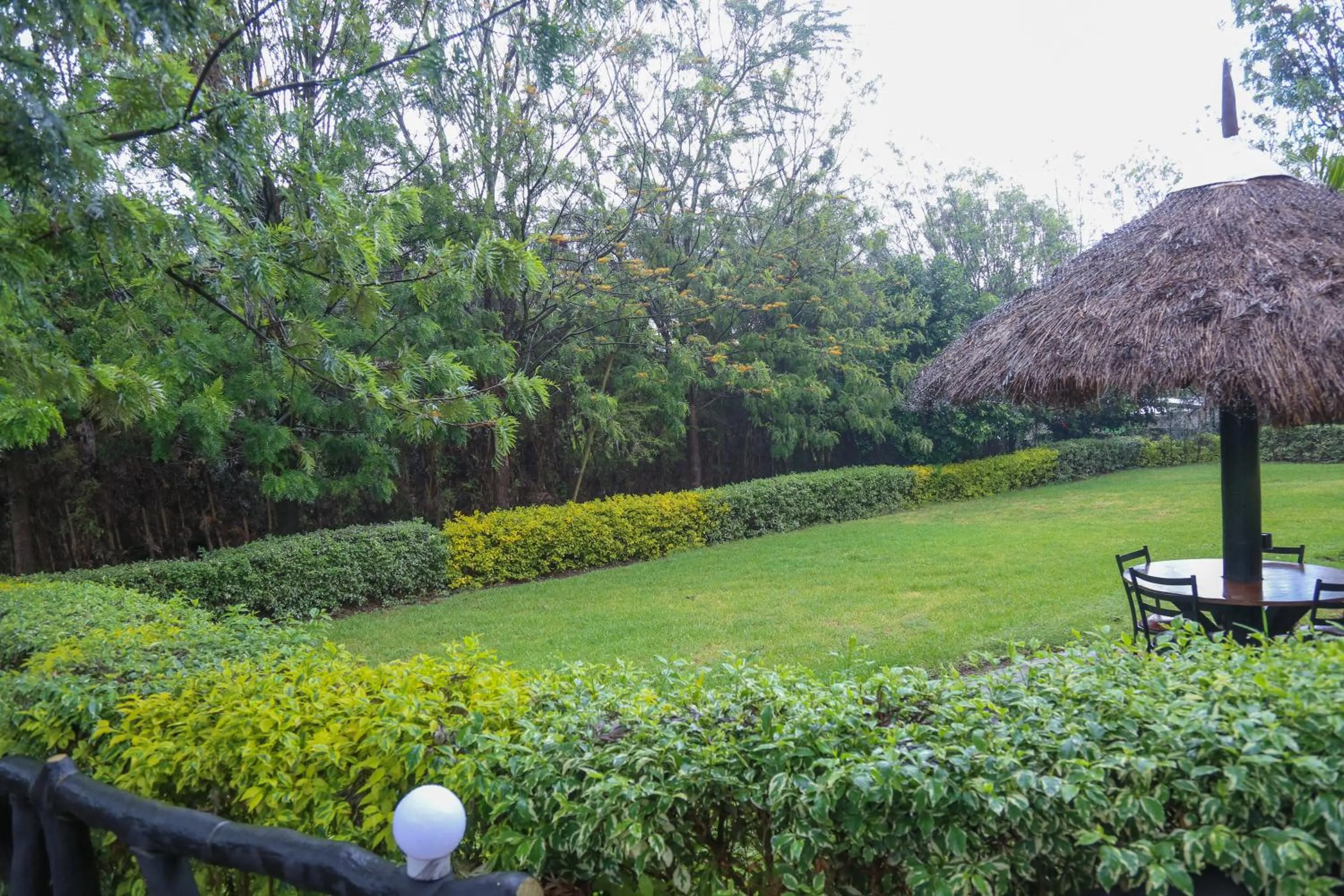 Natural landscape in Dovenest Lodge