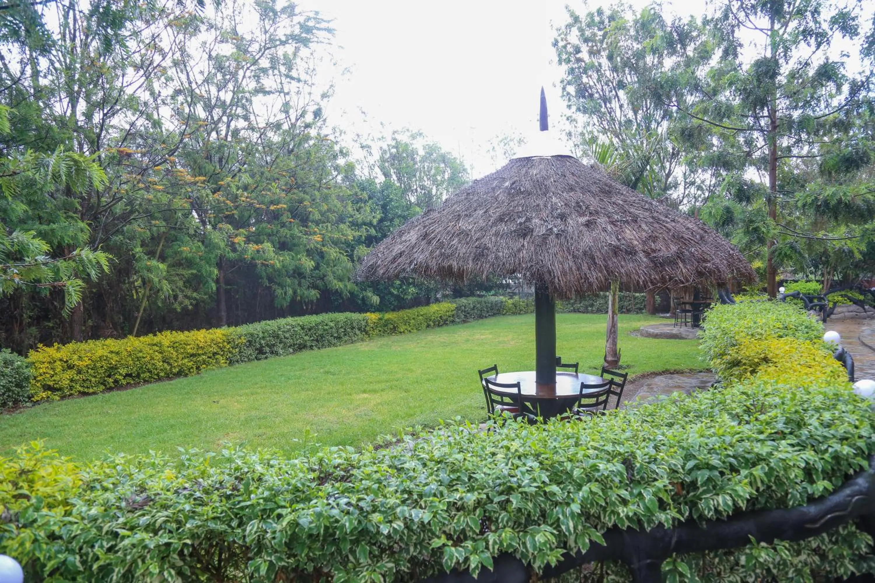 Garden view in Dovenest Lodge