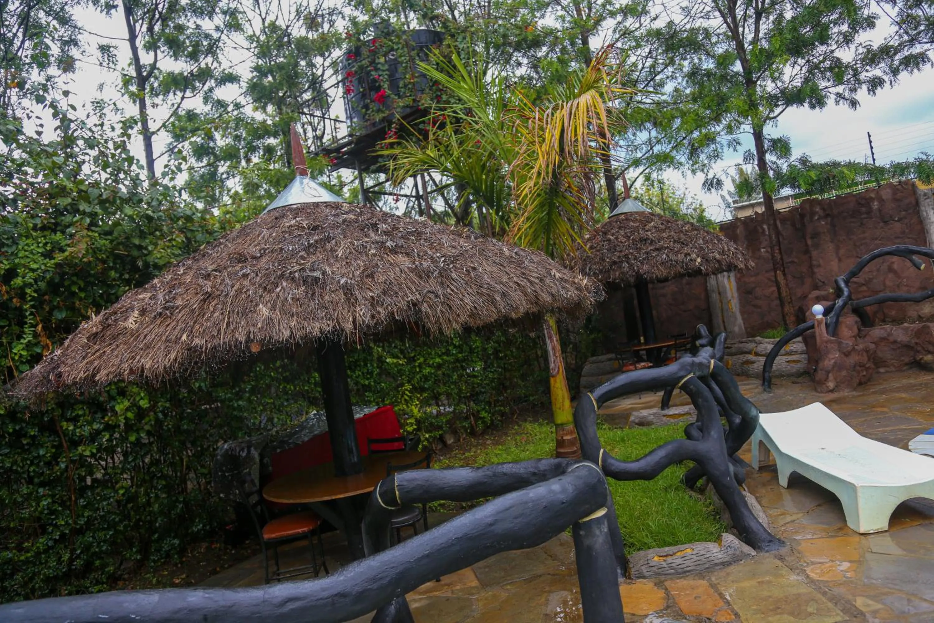 Garden view in Dovenest Lodge