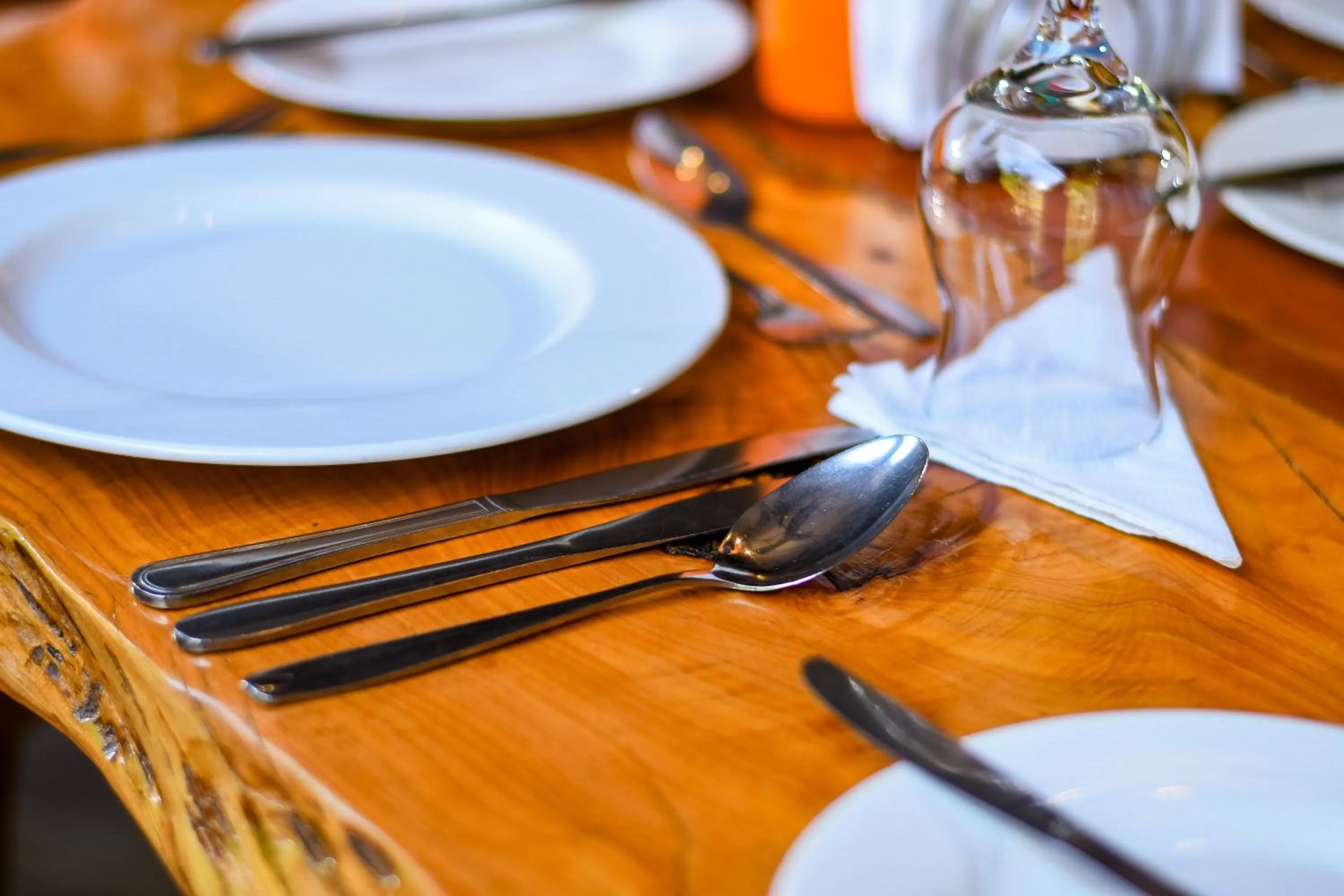 Restaurant/places to eat in Dovenest Lodge