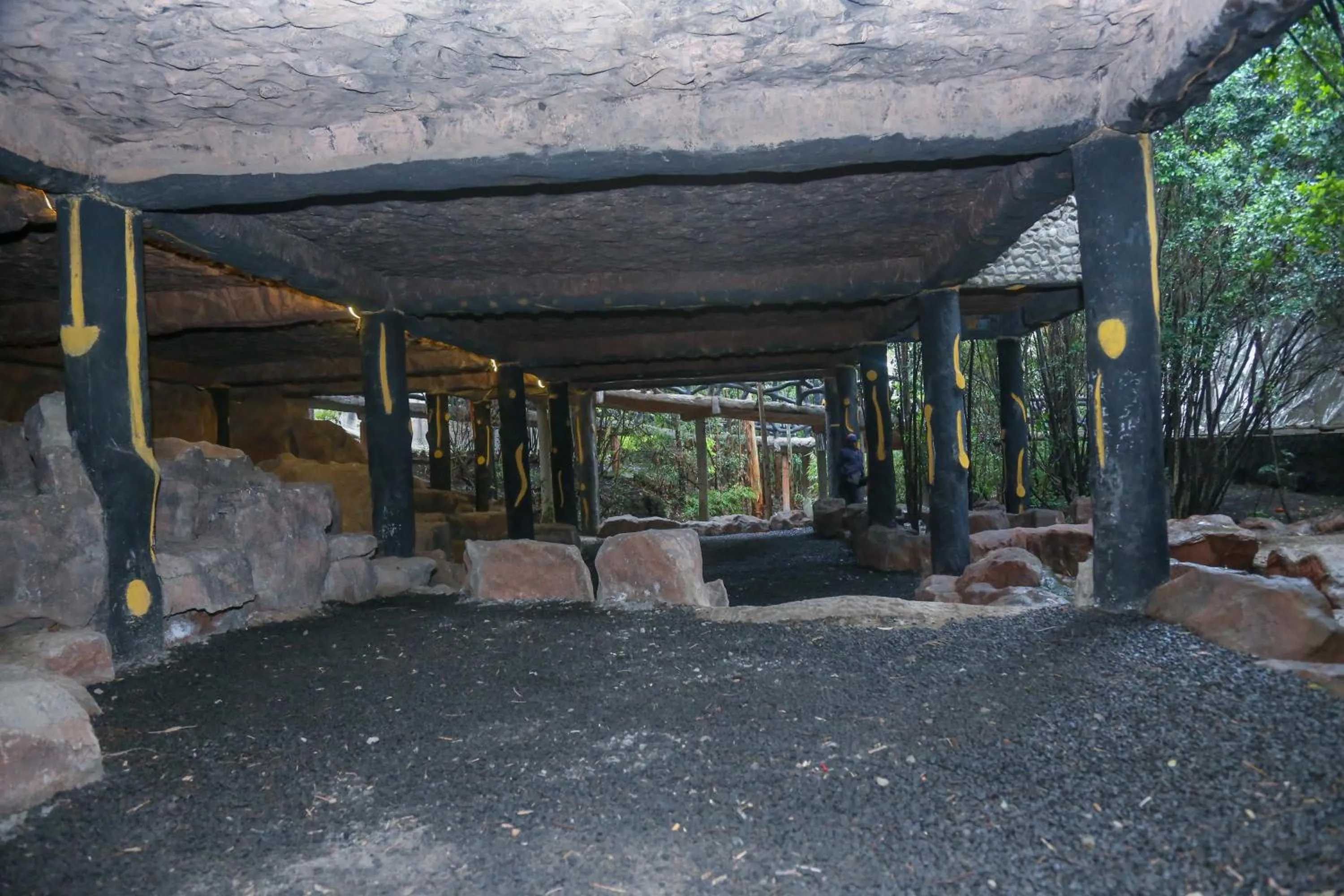 Natural landscape in Dovenest Lodge