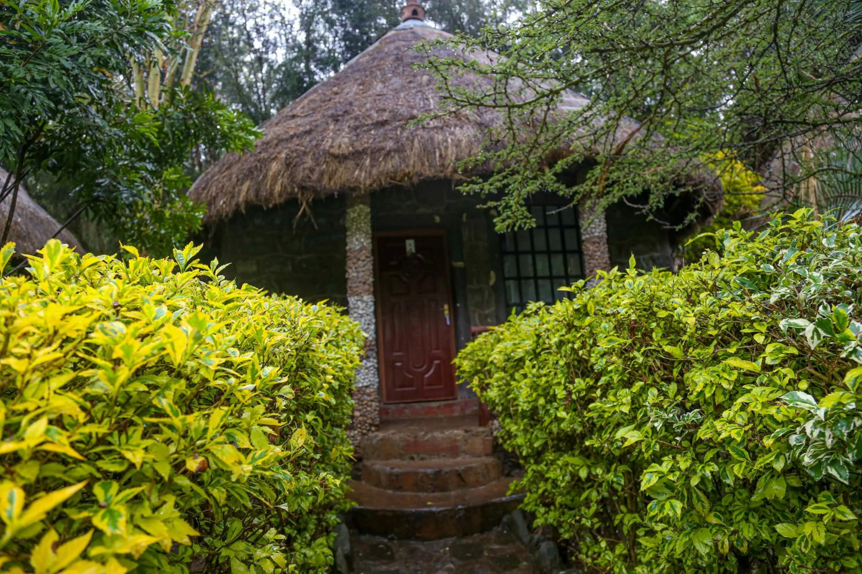 Property building in Dovenest Lodge