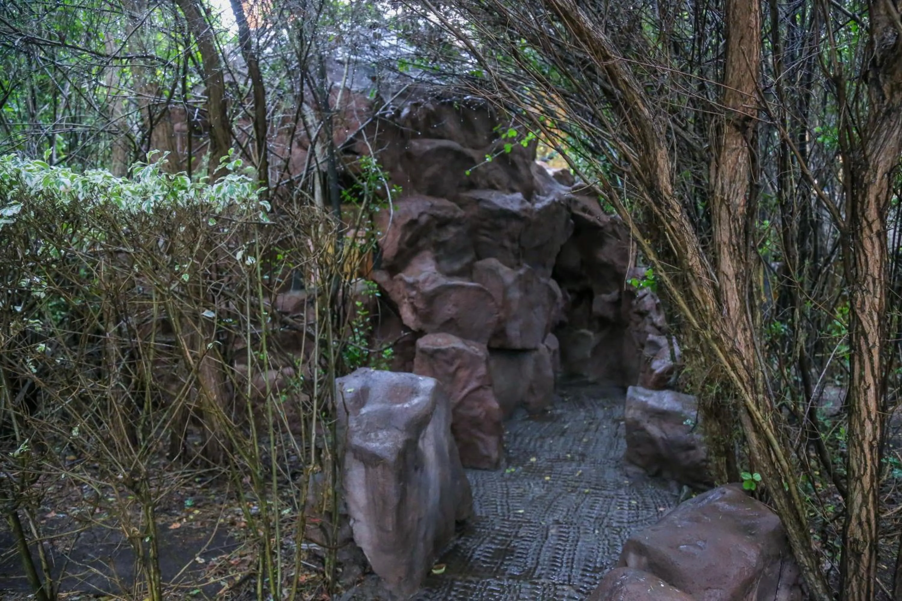 Natural landscape in Dovenest Lodge