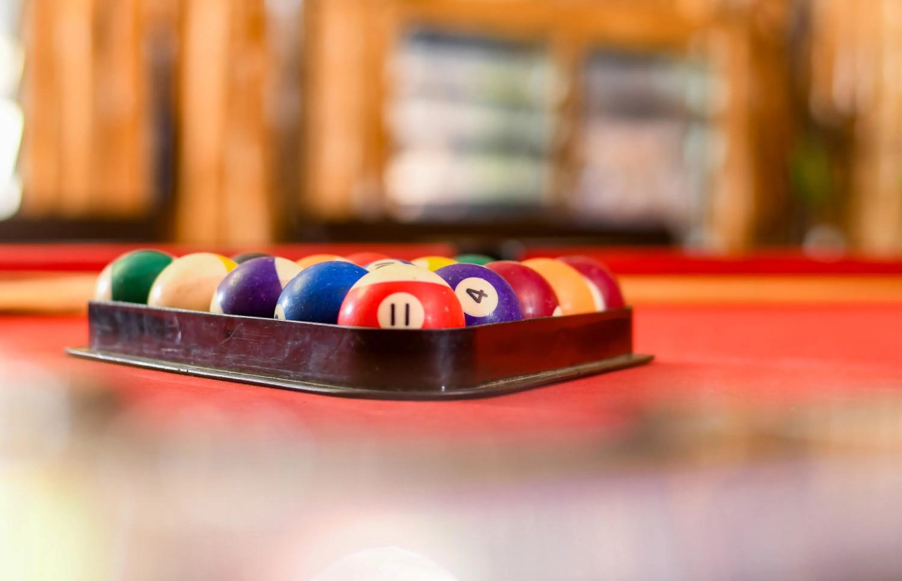 Game Room in Dovenest Lodge