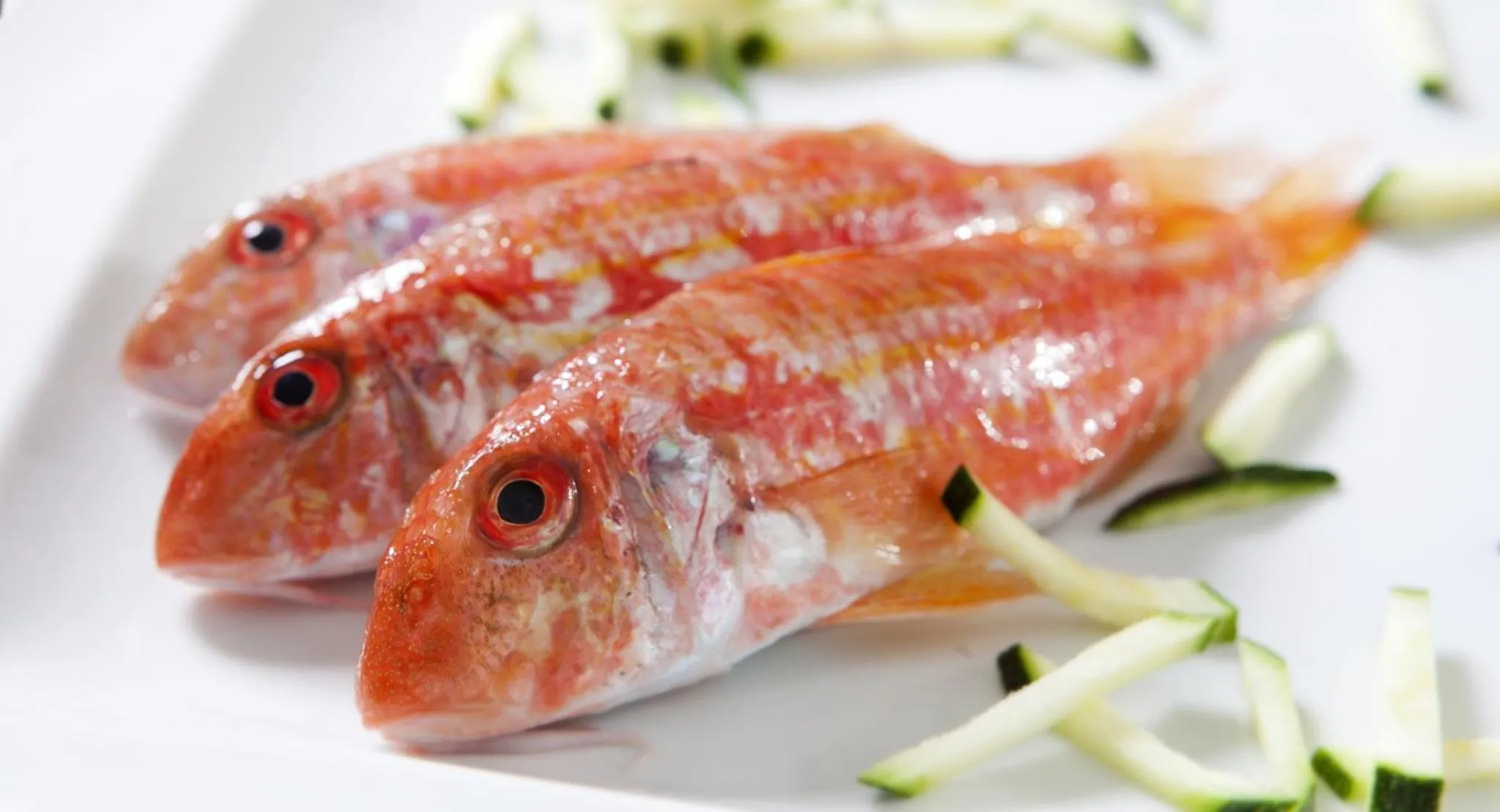 Food close-up in Hotel Al Gabbiano
