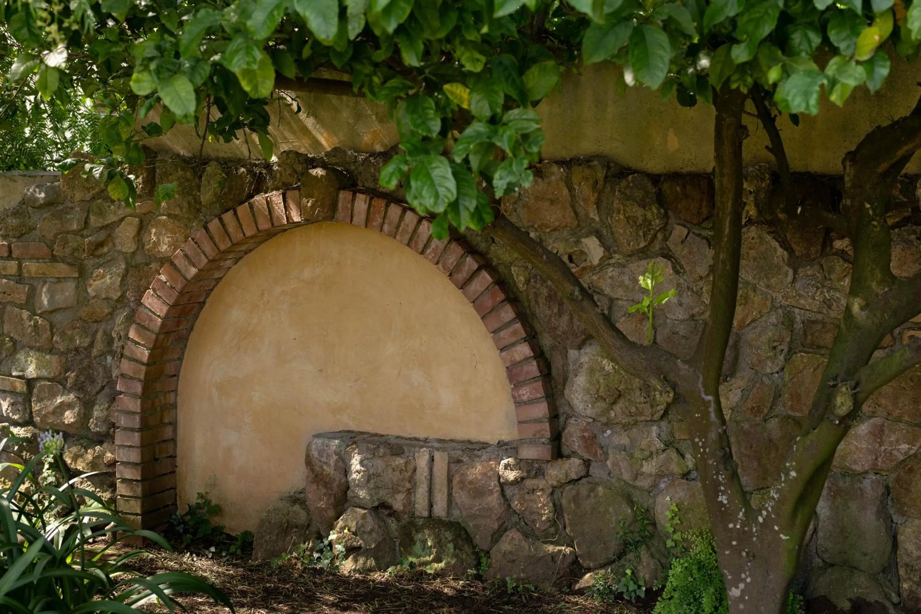 Garden in B&B Cavalieri