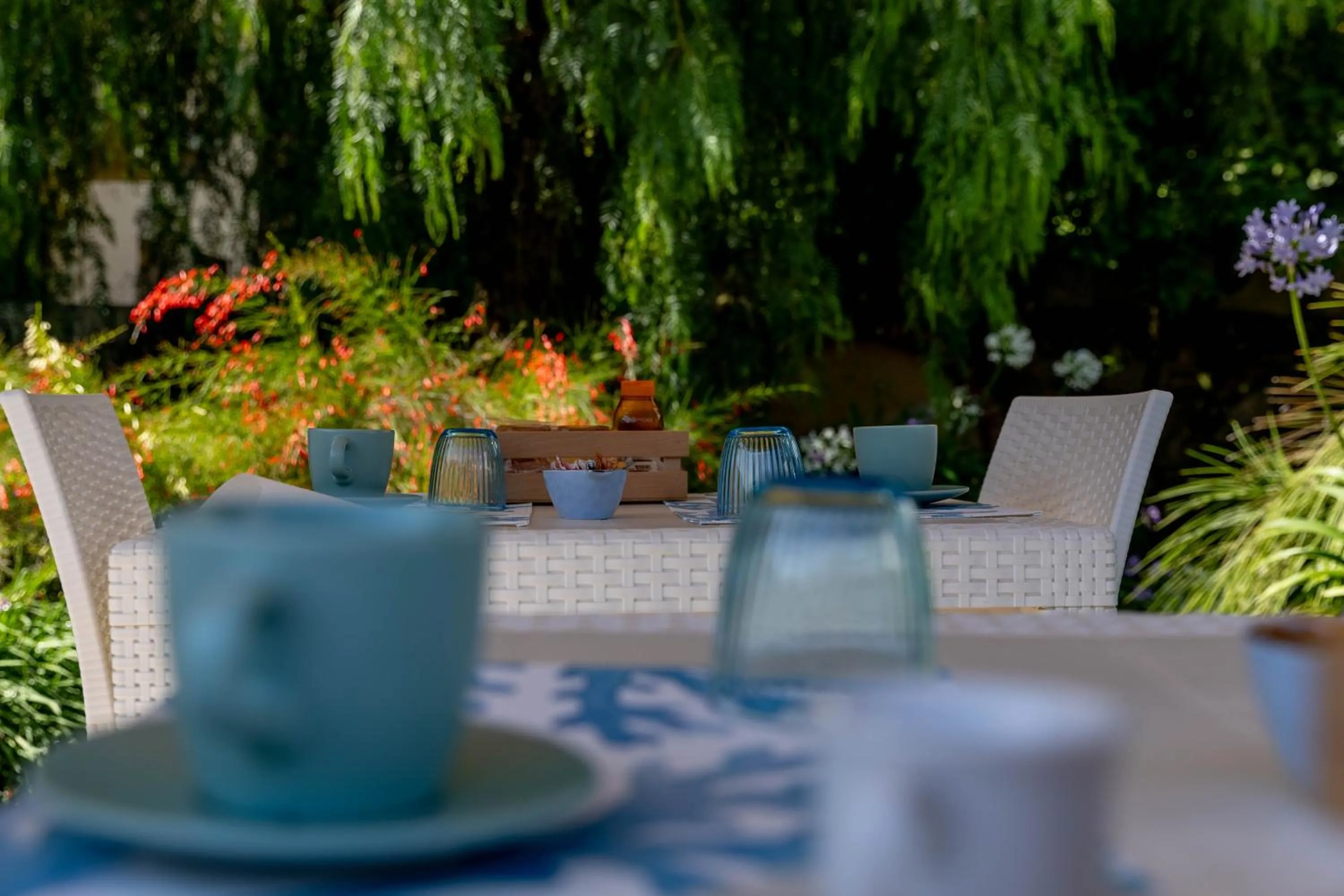 Garden in B&B Cavalieri