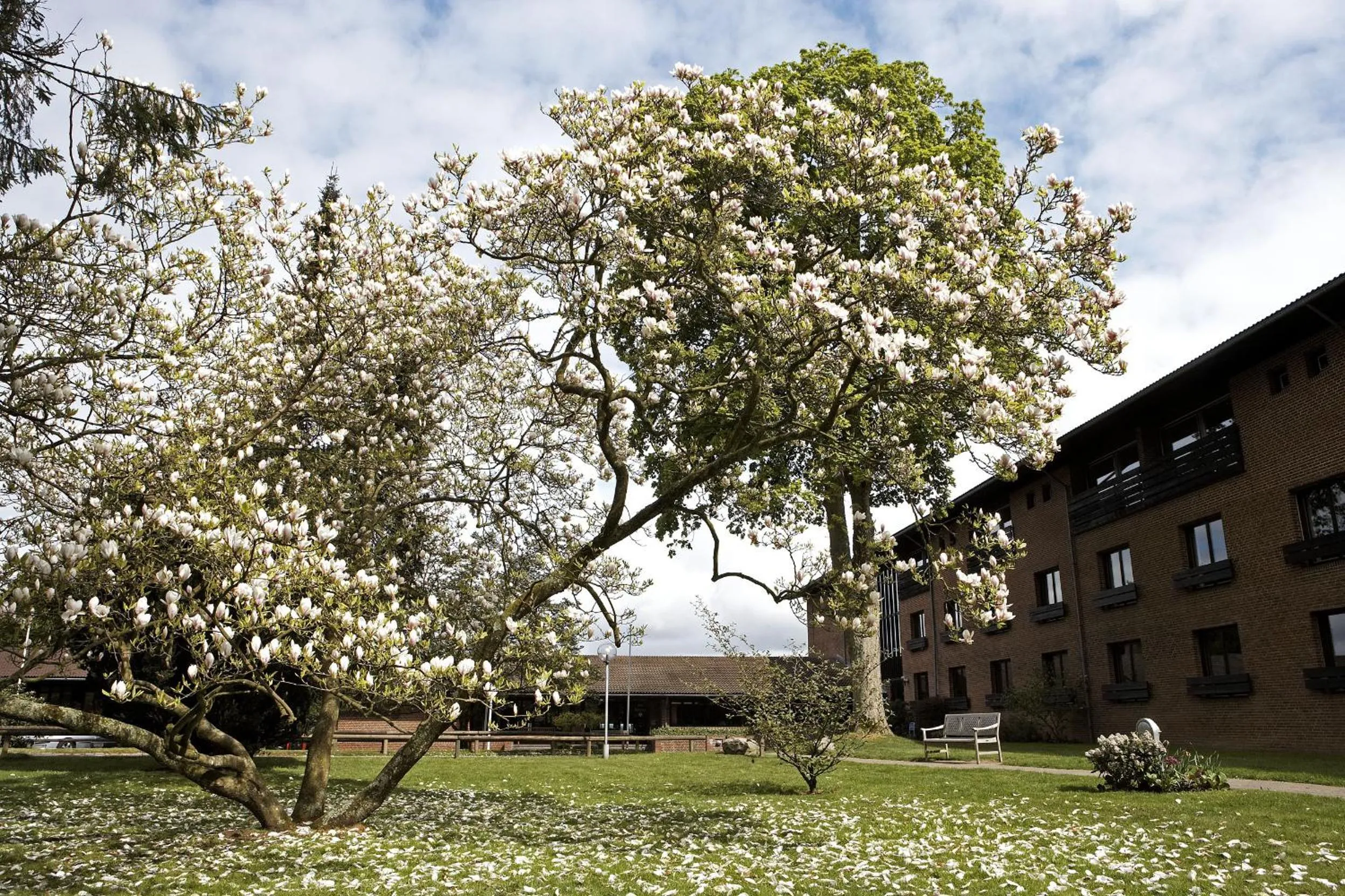 Garden in Munkebjerg Hotel