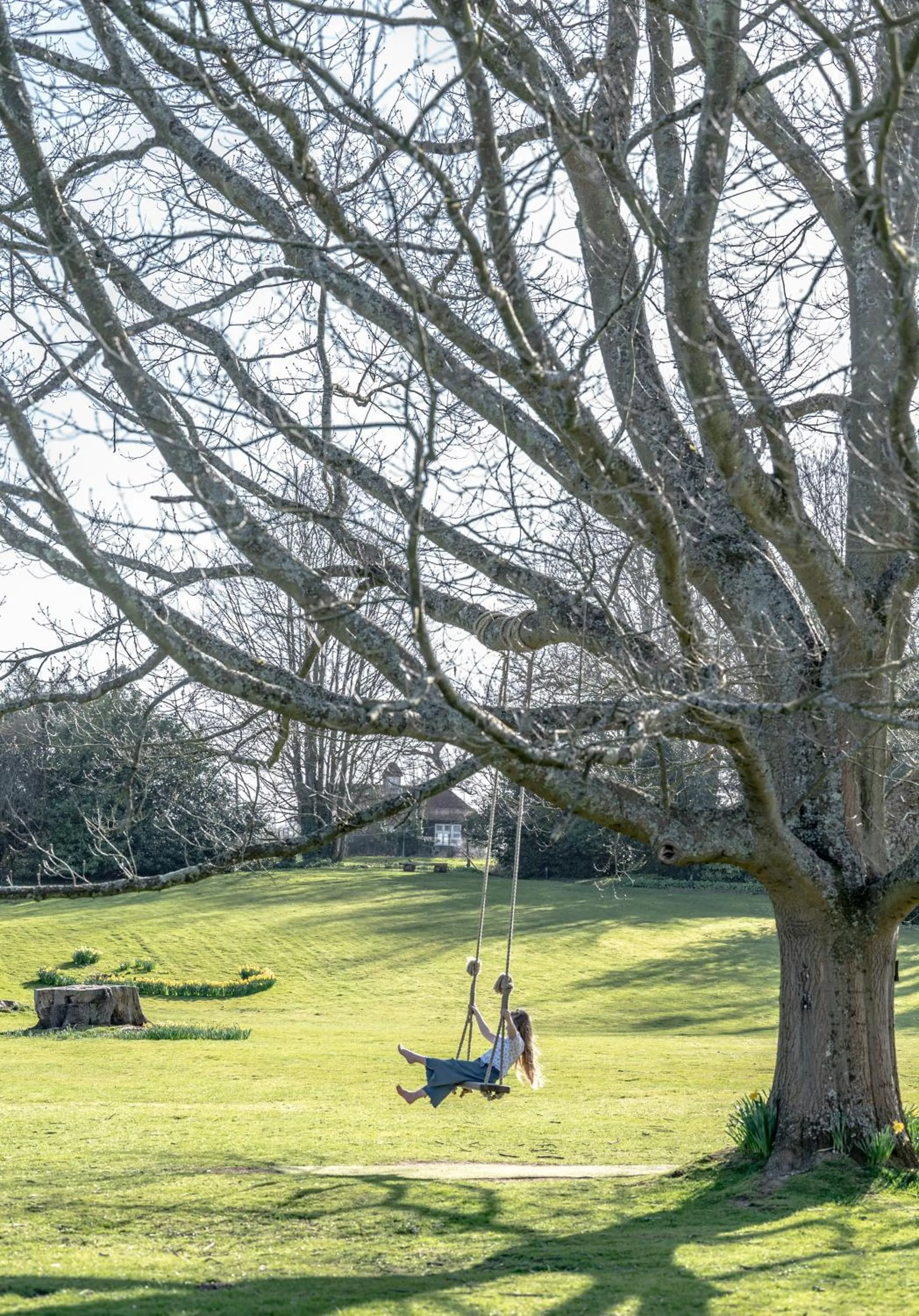 Natural landscape in Buxted Park Hotel