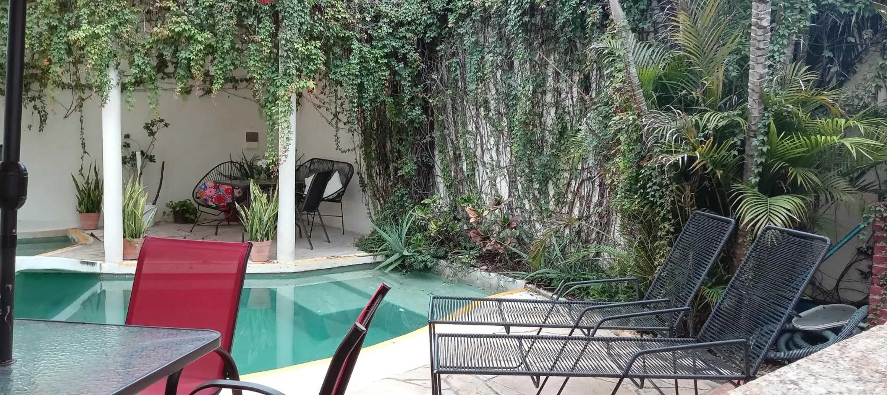 Swimming pool in Bed and Breakfast Pecarí