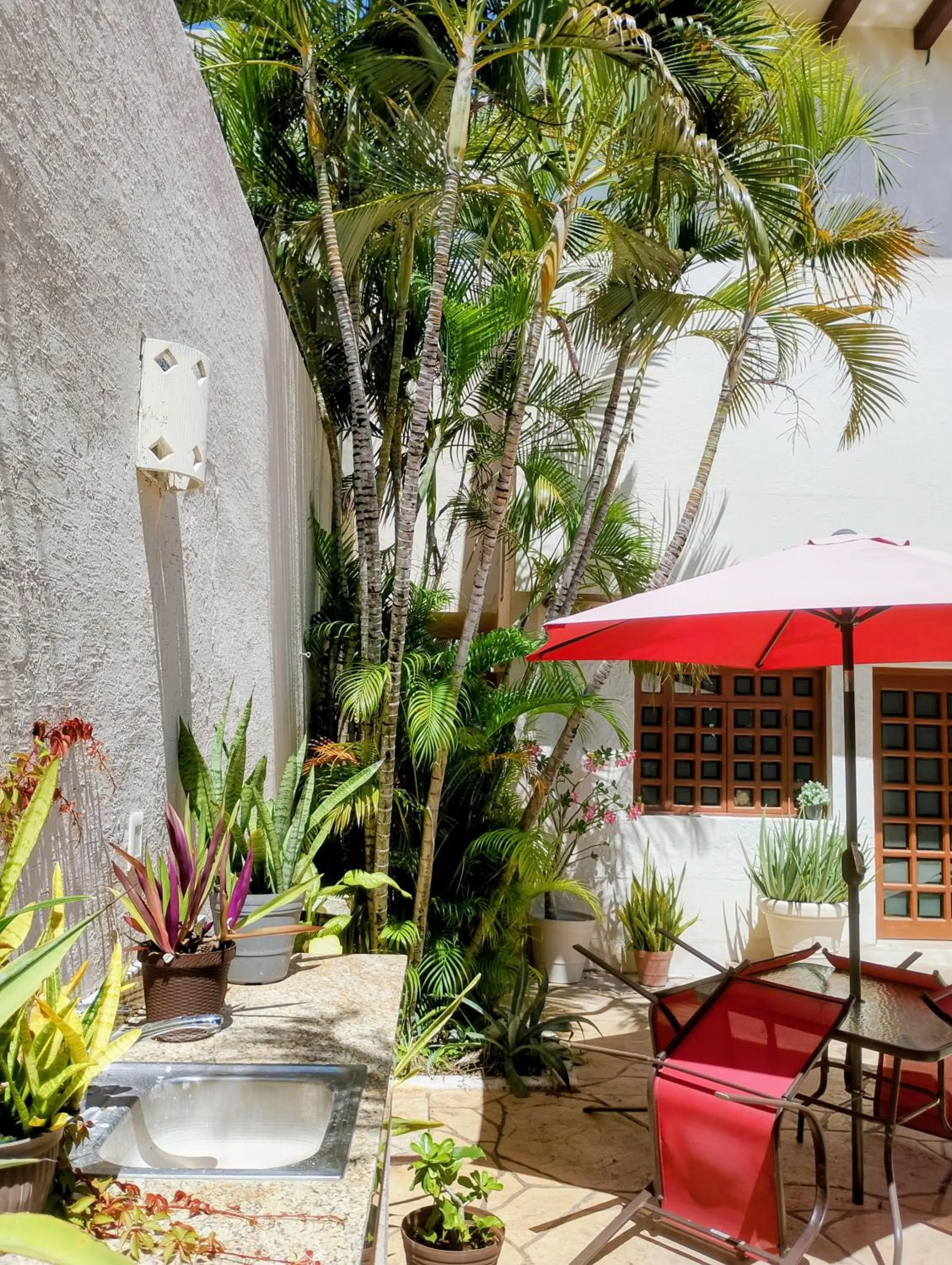 Garden in Bed and Breakfast Pecarí