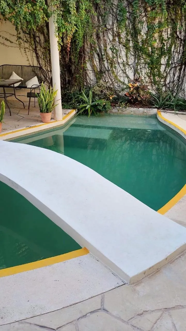 Swimming pool in Bed and Breakfast Pecarí