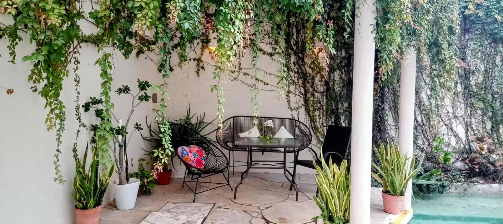 Swimming pool in Bed and Breakfast Pecarí