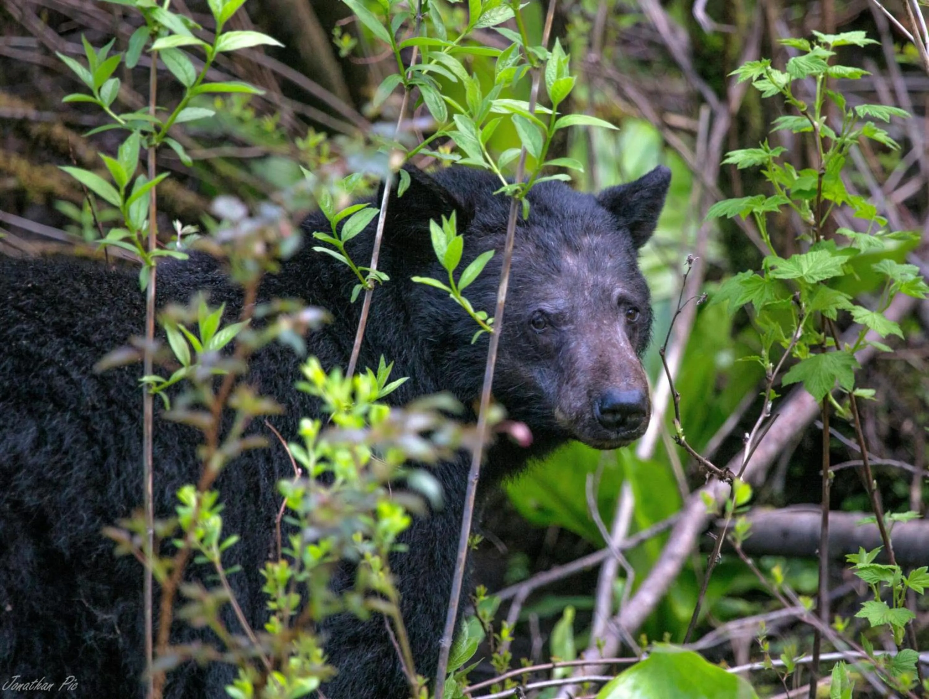 Property building in Waterfront Timber-Frame Cottage!