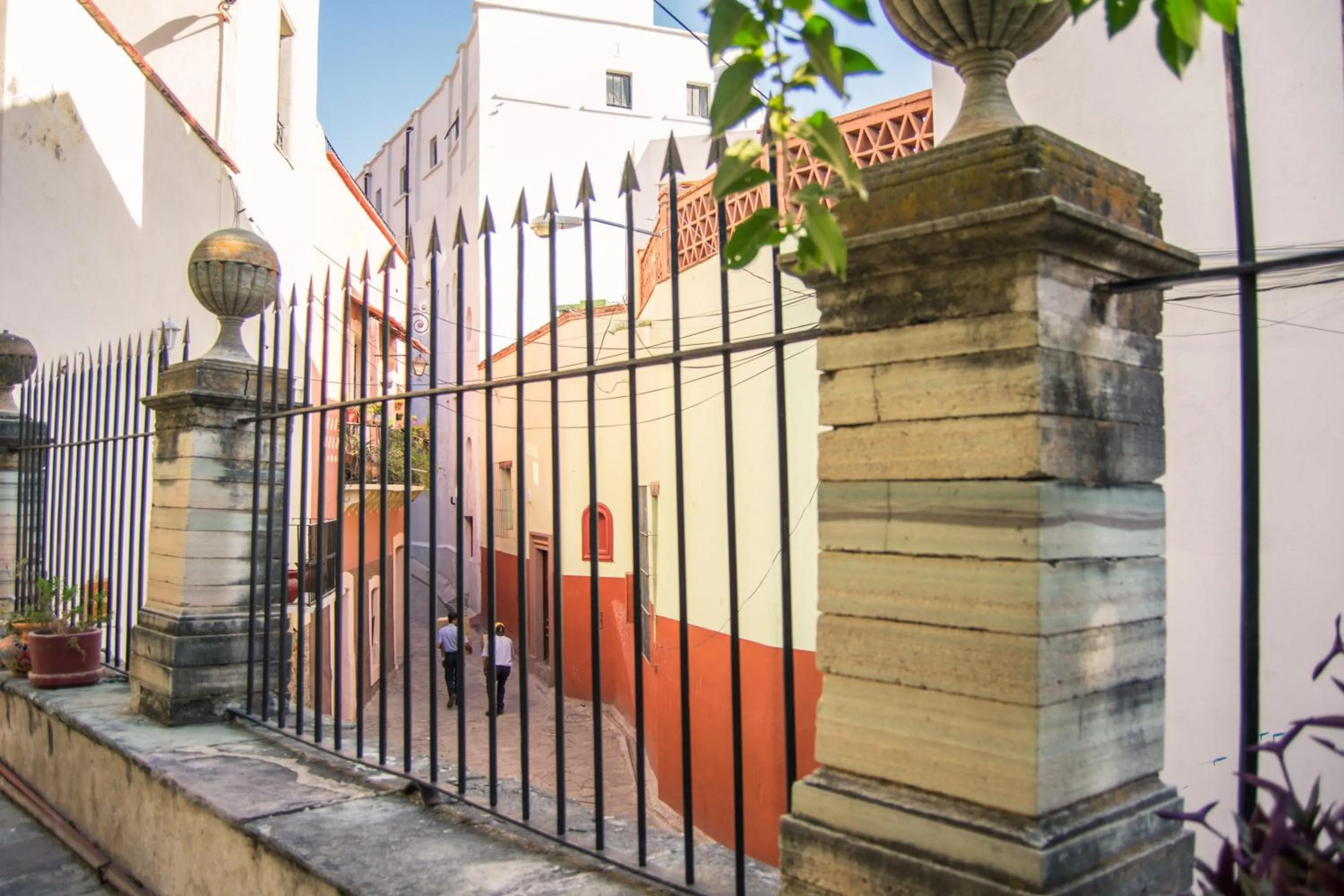Garden in Casa Lupita Hostel