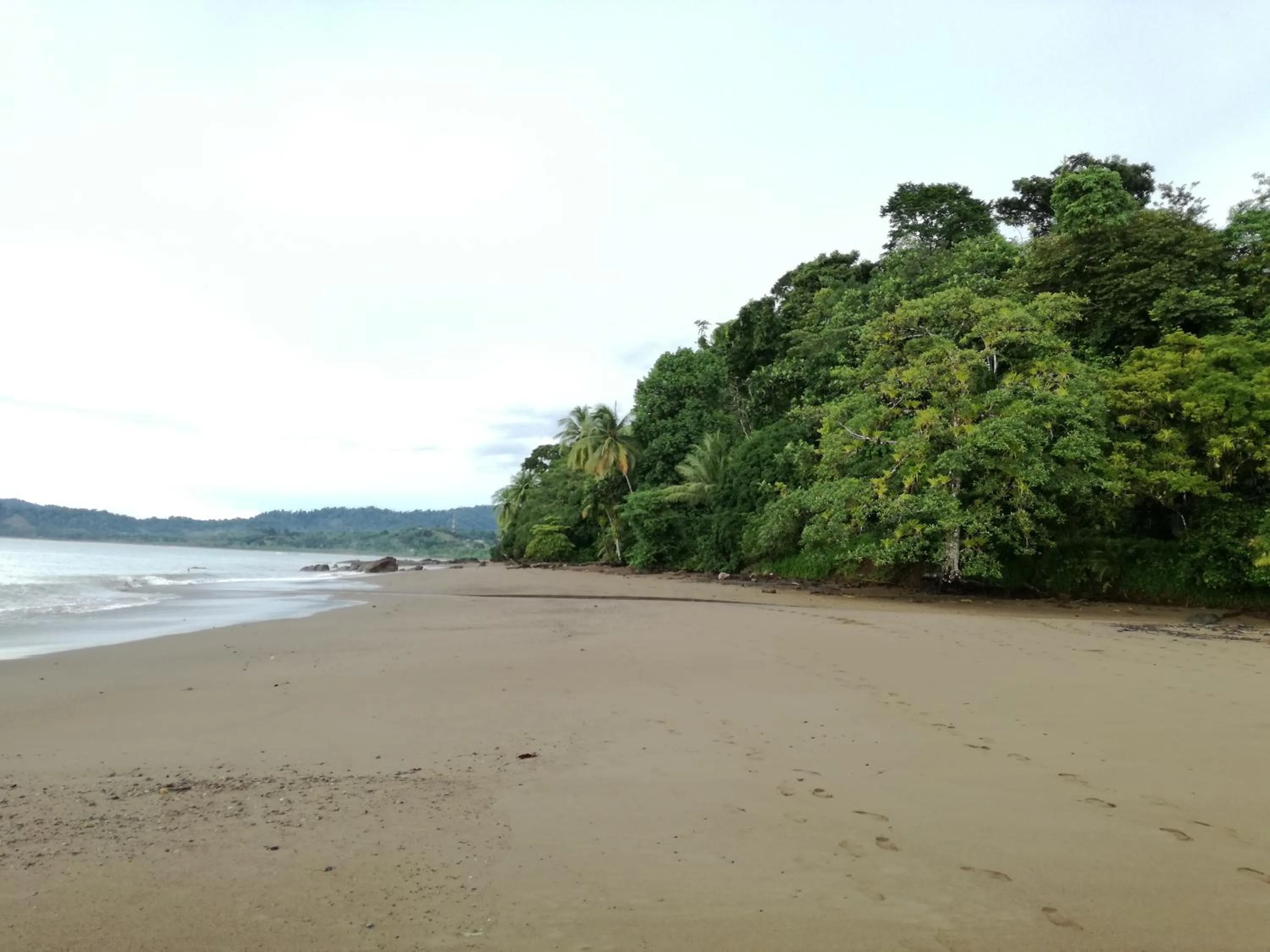 Fishing in Osa House - Drake Bay