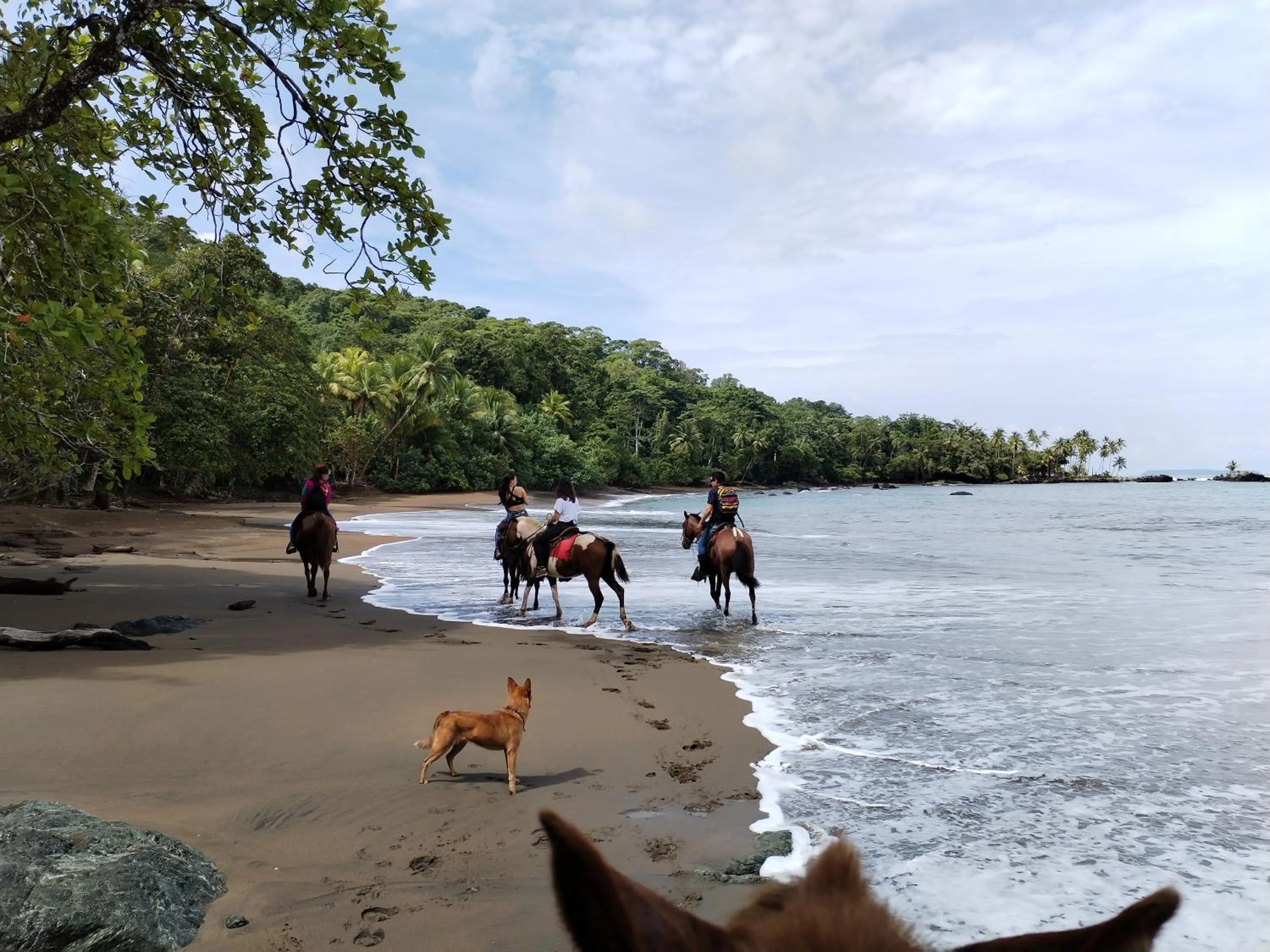 Sea view in Osa House - Drake Bay