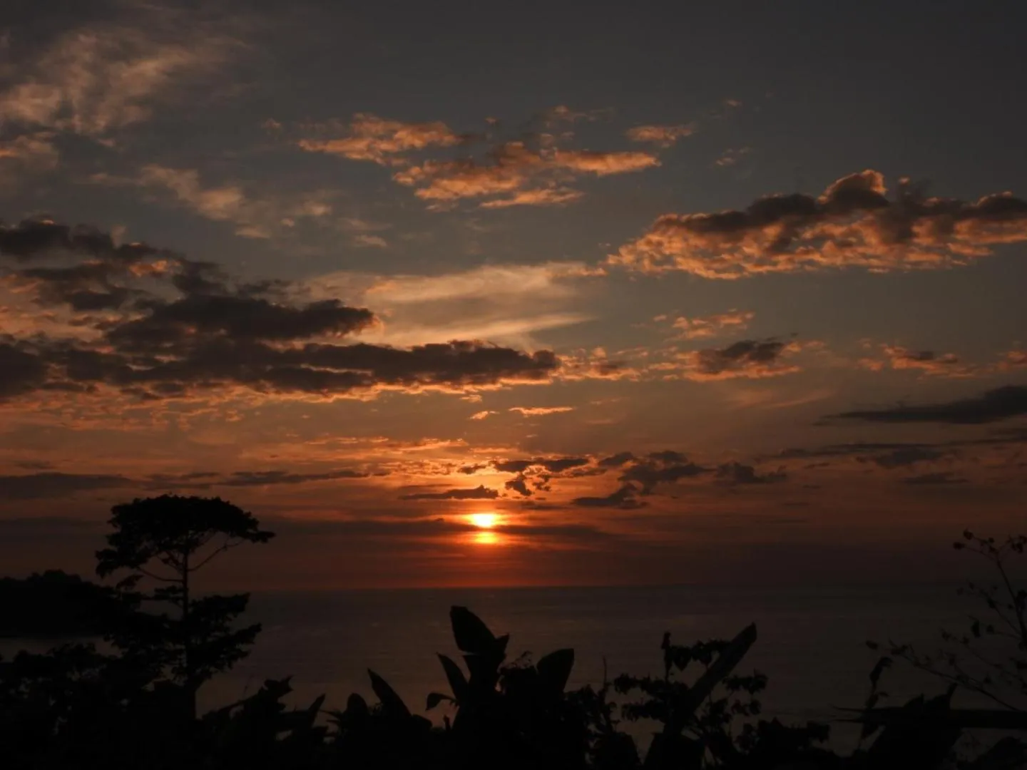 Natural landscape in Osa House - Drake Bay