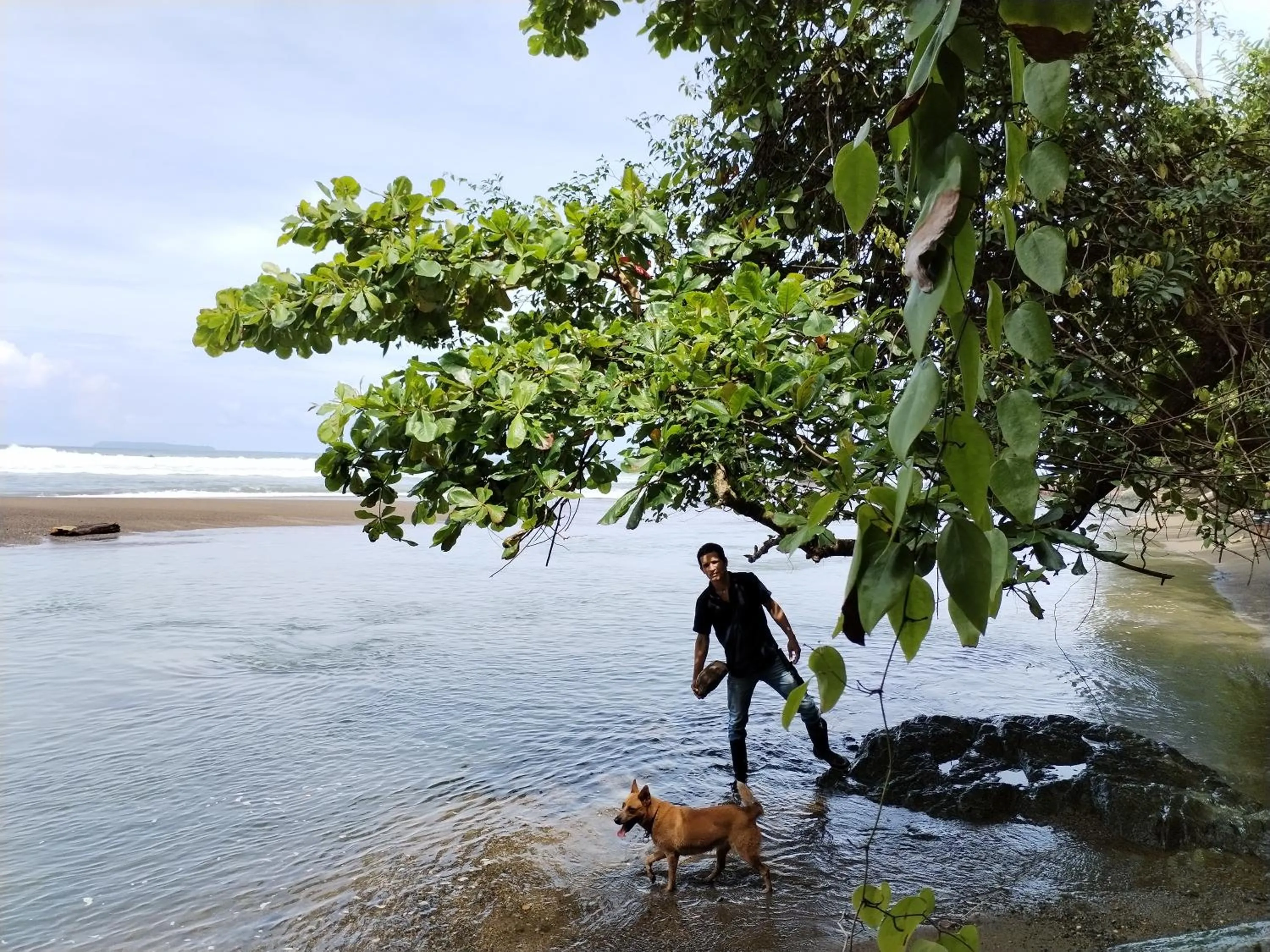 Beach in Osa House - Drake Bay