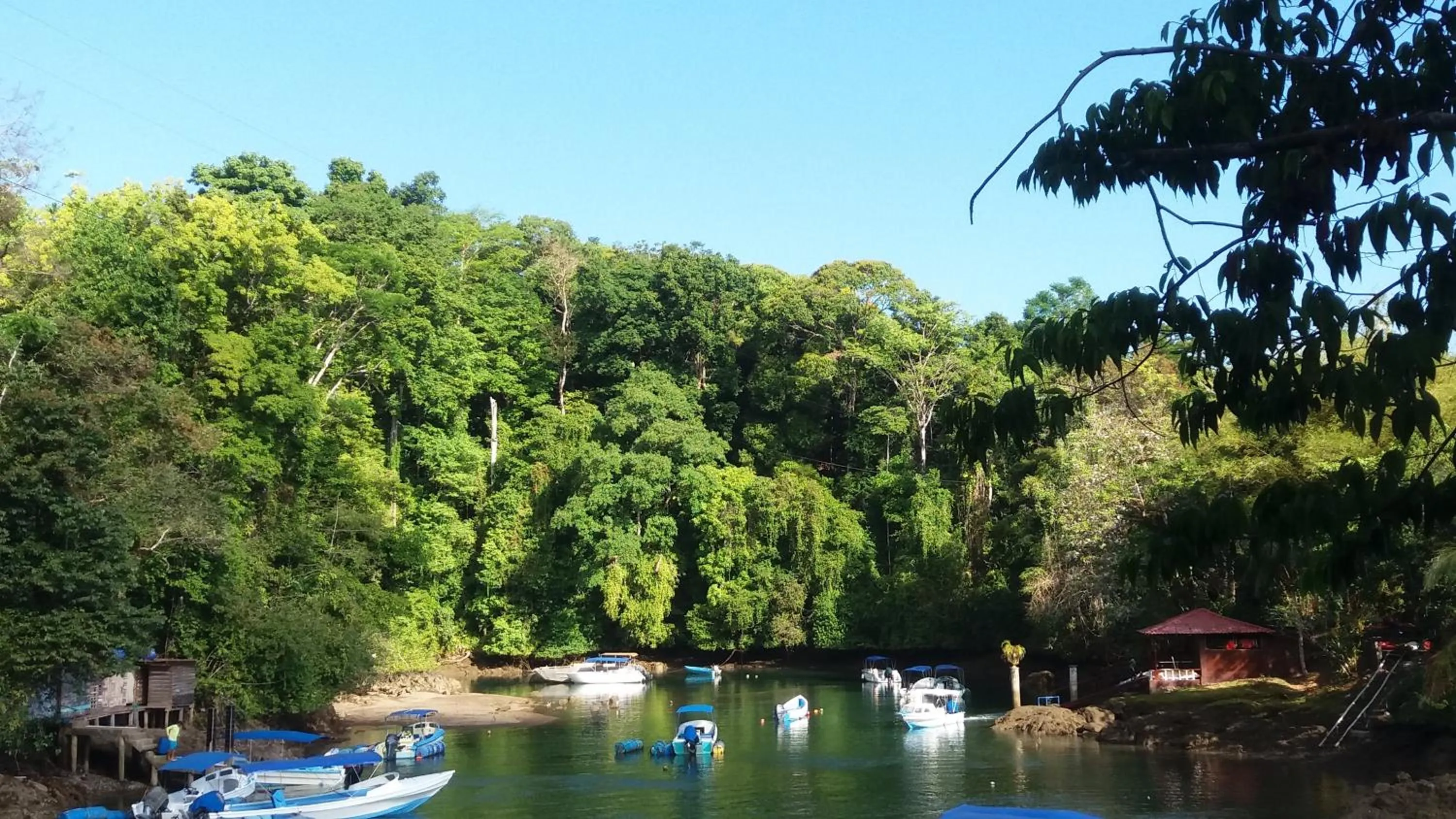 Fishing in Osa House - Drake Bay