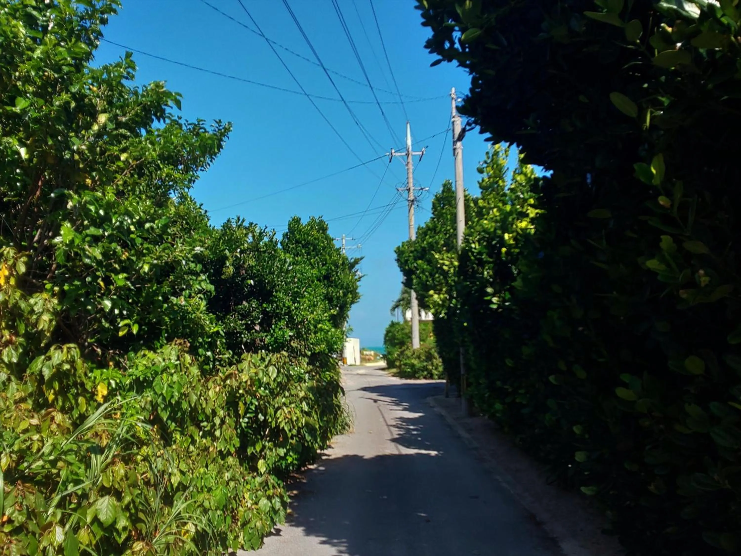 Neighbourhood in Uminchuno Yado