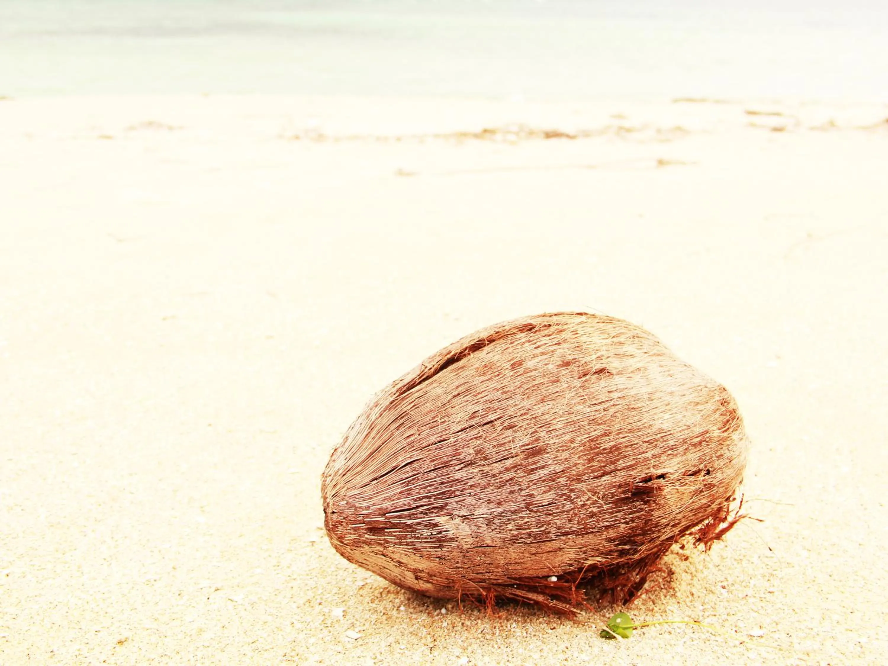 Beach in Uminchuno Yado