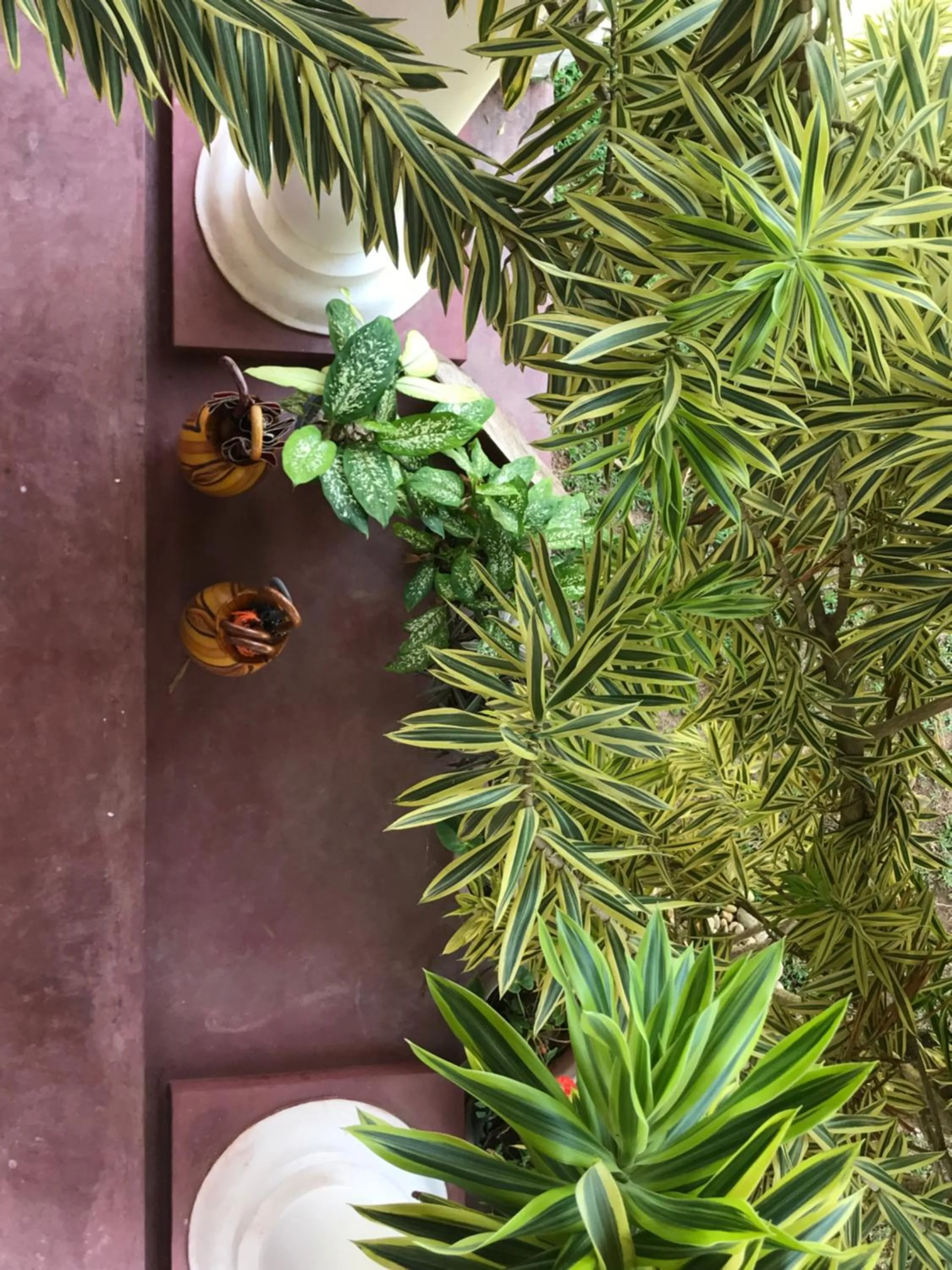 Property building in Hotel La Felicita