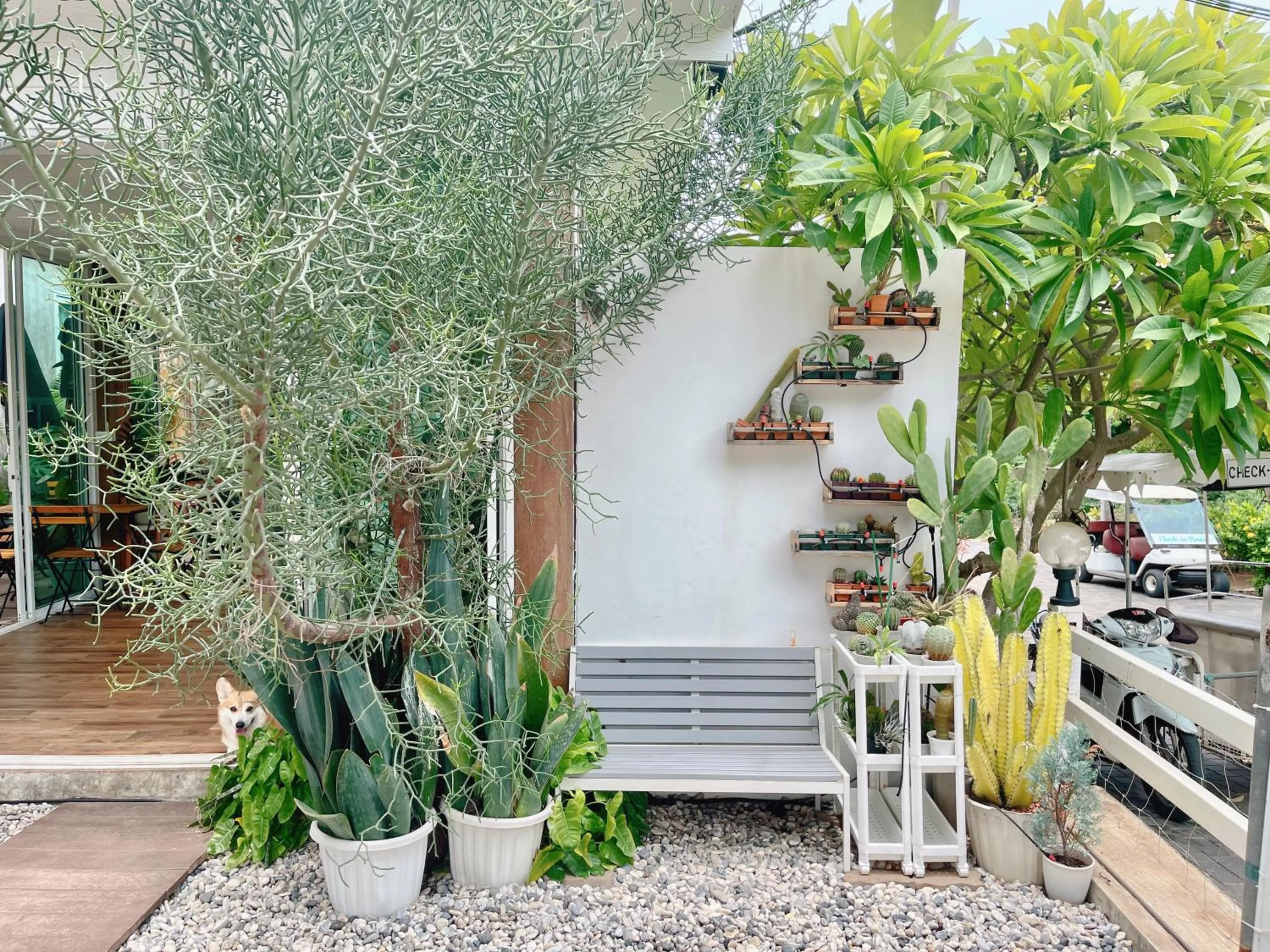 Facade/entrance in Check-in Resort Koh Larn