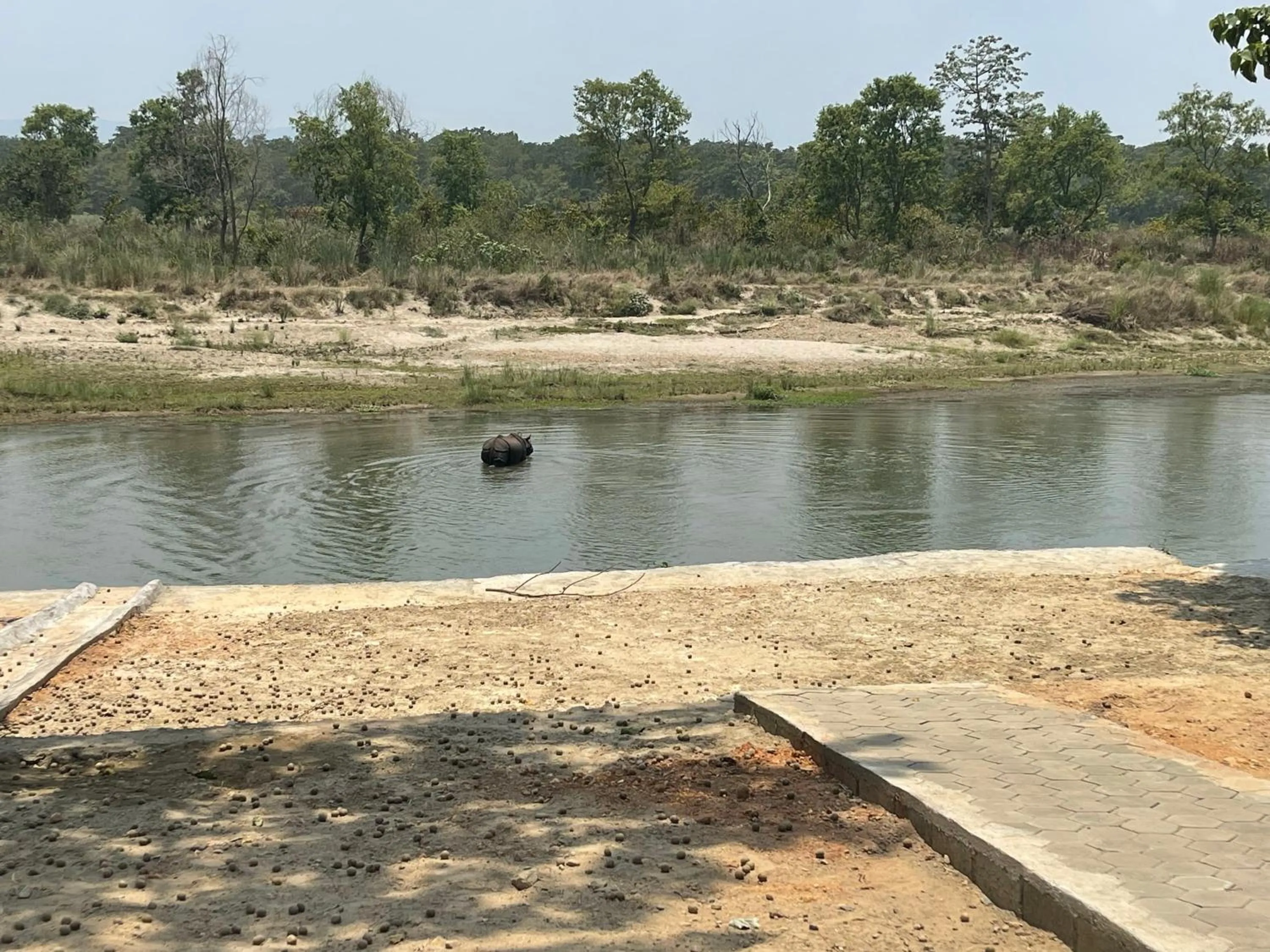 Natural landscape in Chitwan Riverside Resort