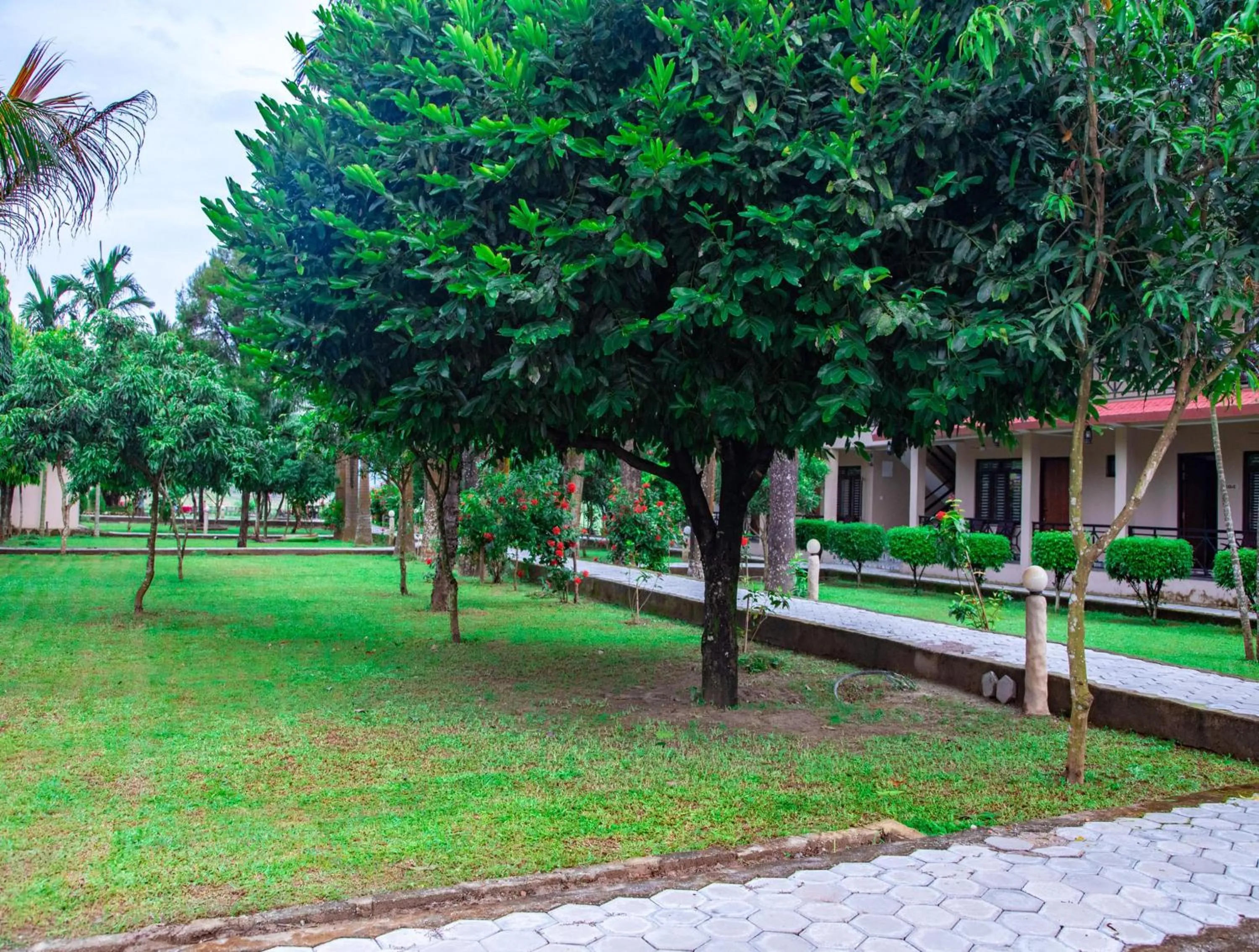 Garden in Chitwan Riverside Resort