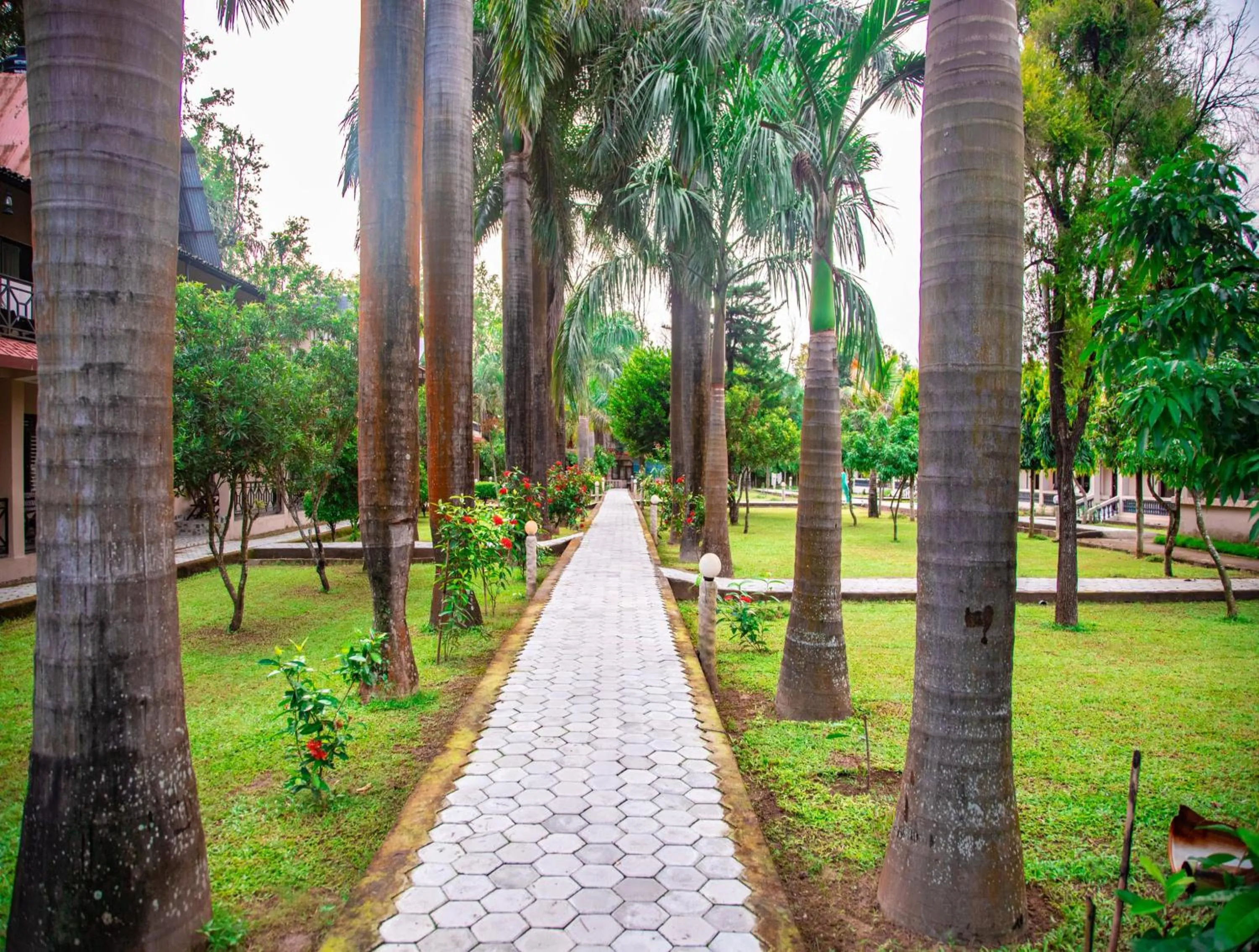 Garden in Chitwan Riverside Resort