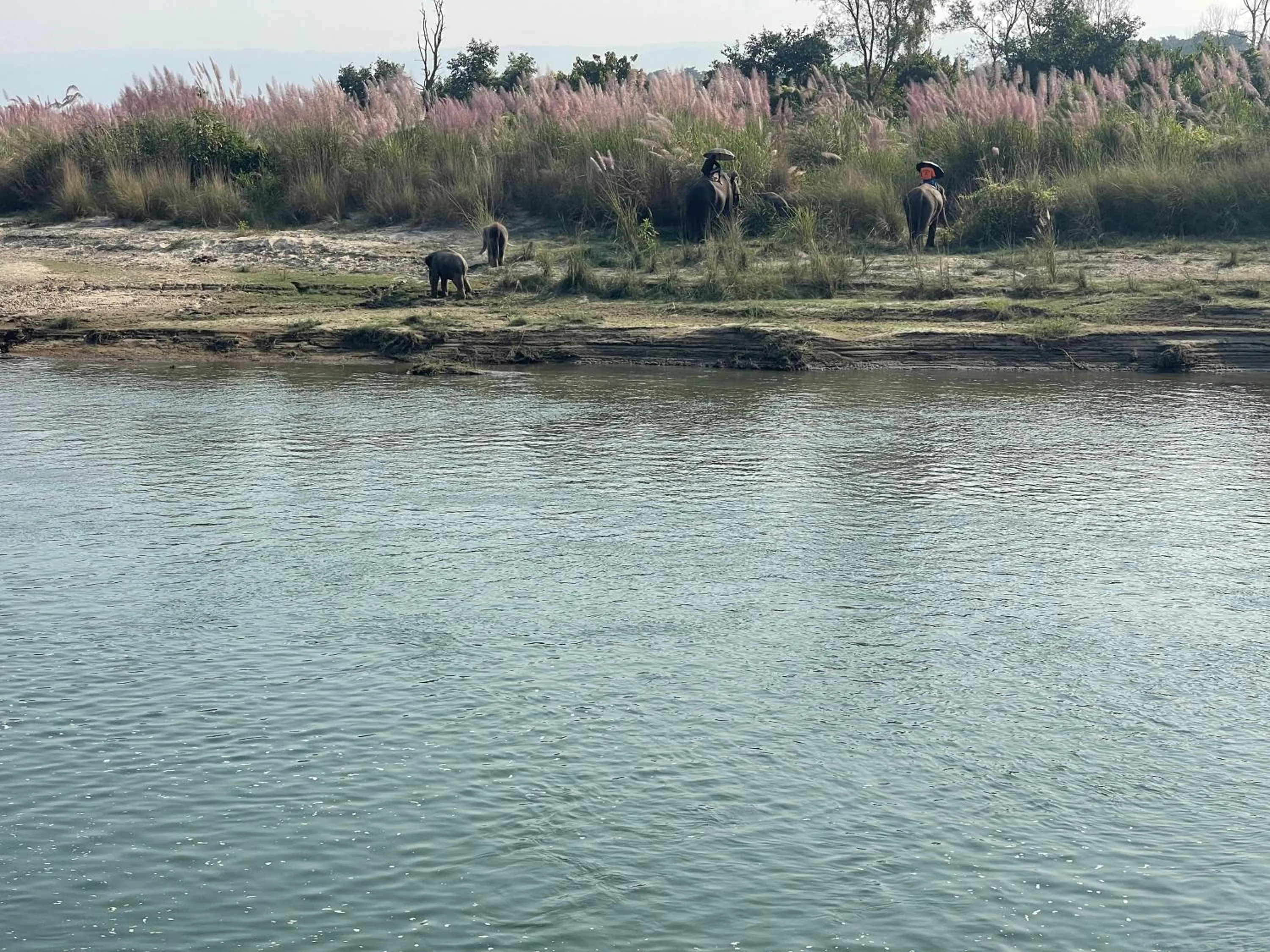 Day in Chitwan Riverside Resort