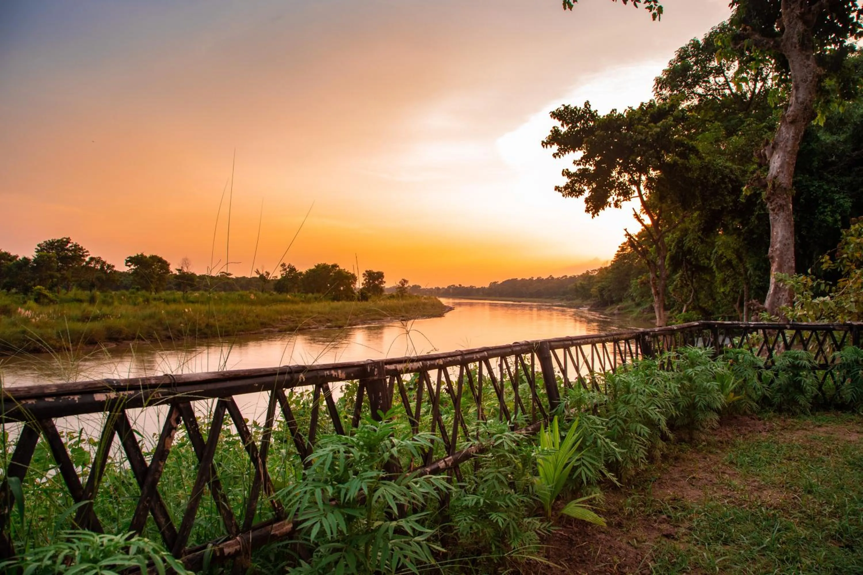 Natural landscape in Chitwan Riverside Resort