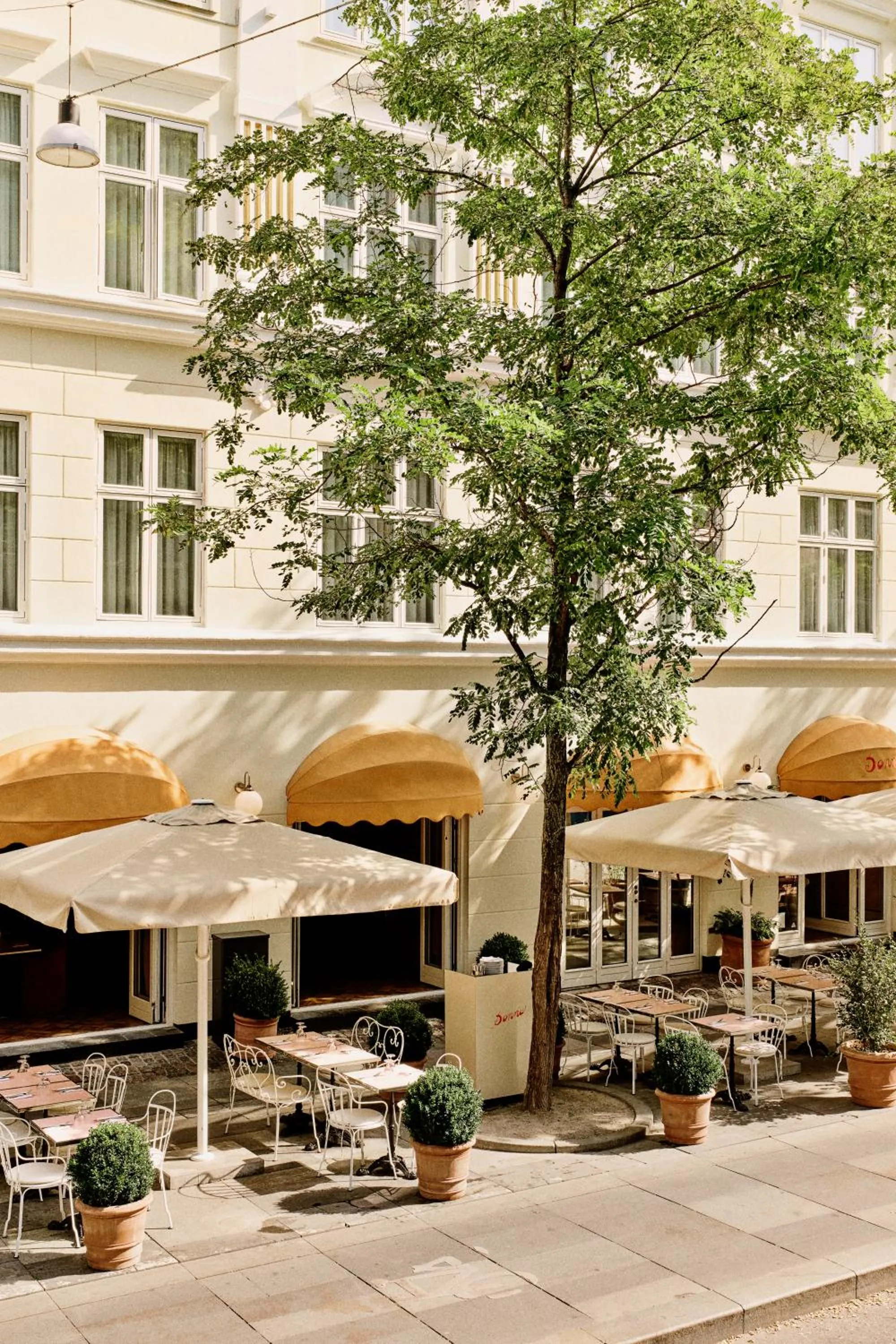 Restaurant/places to eat in Hotel Kong Frederik