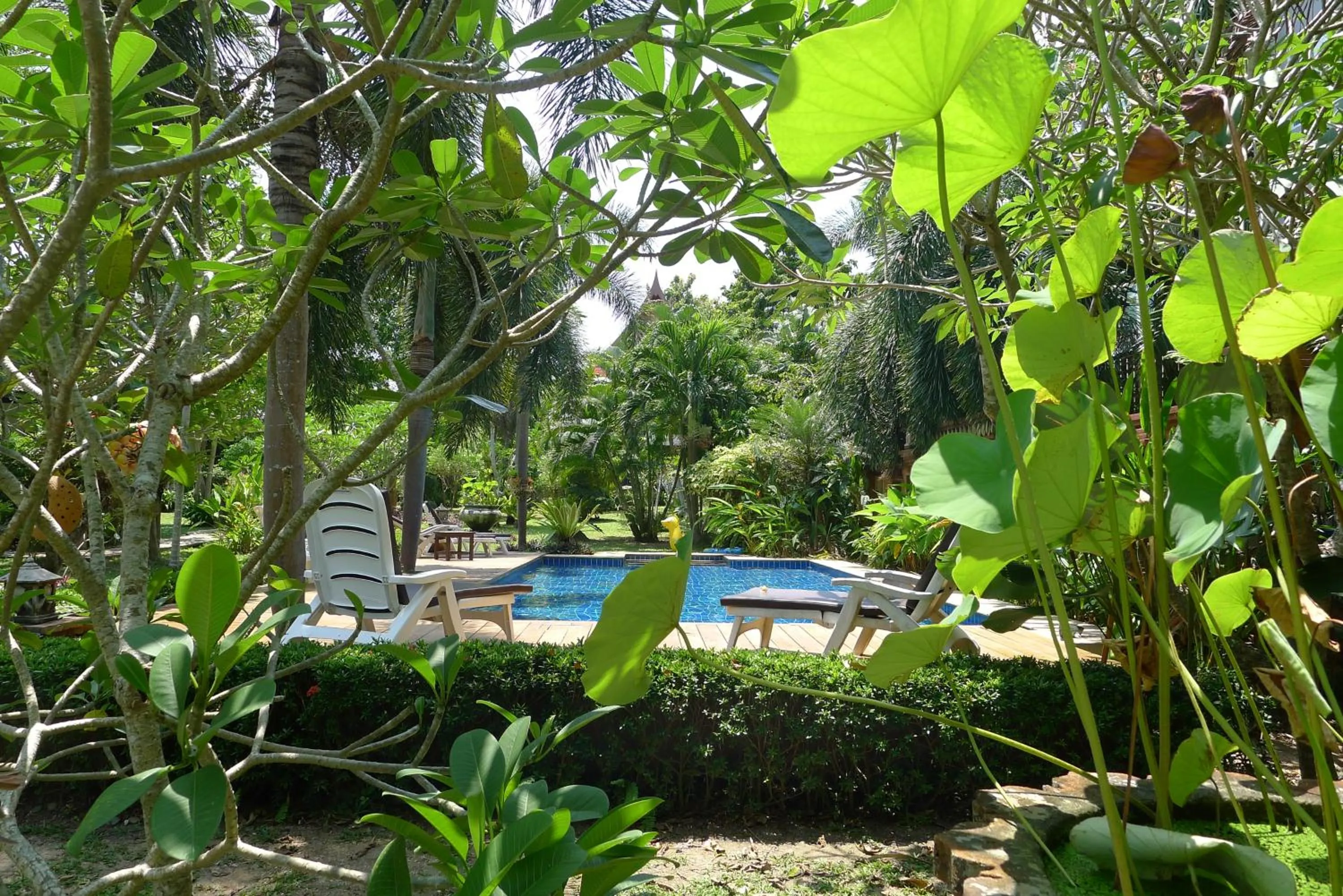 Swimming pool in Symphony Villa