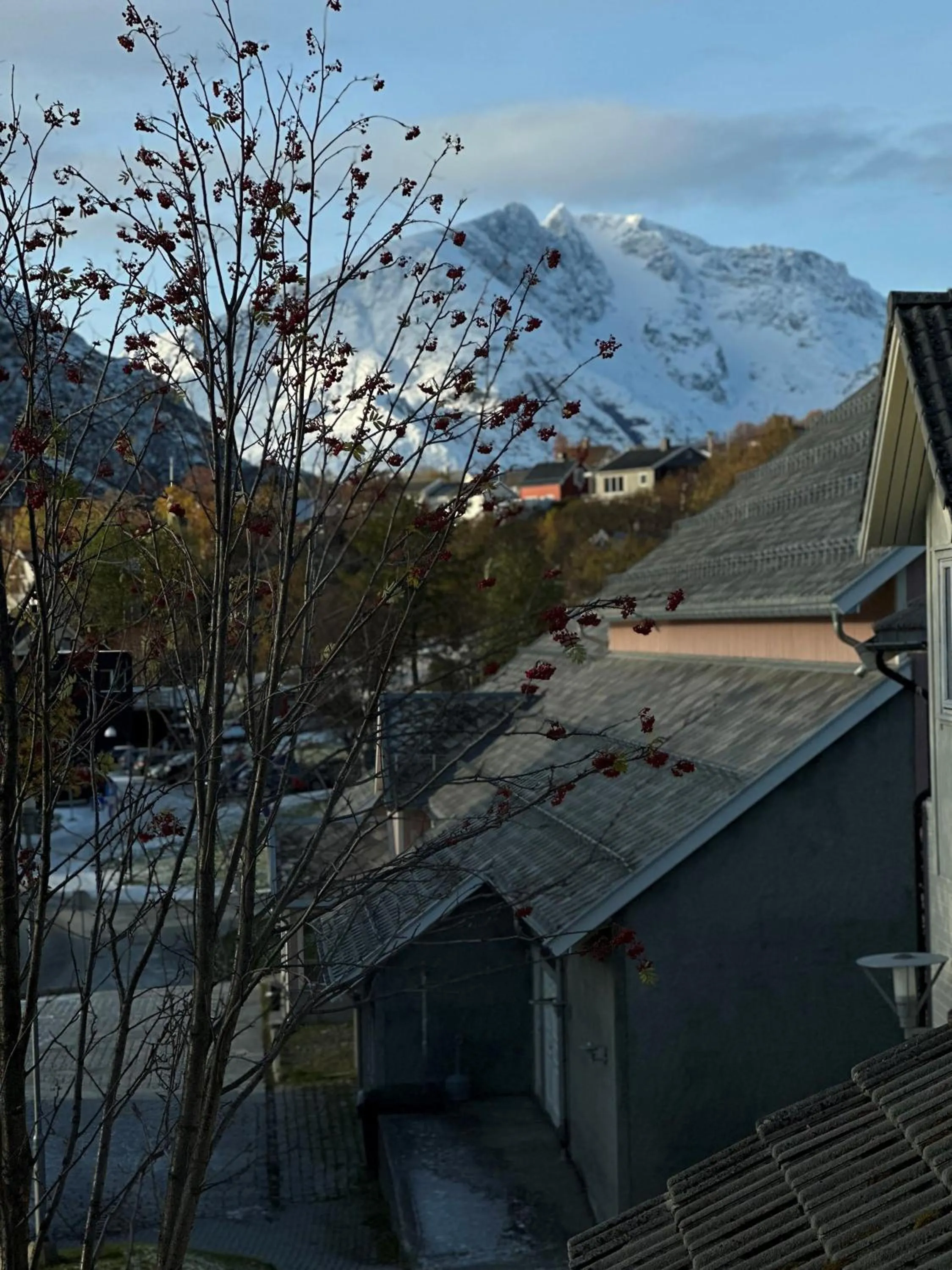 Day in Hotell Maritim Skjervoy